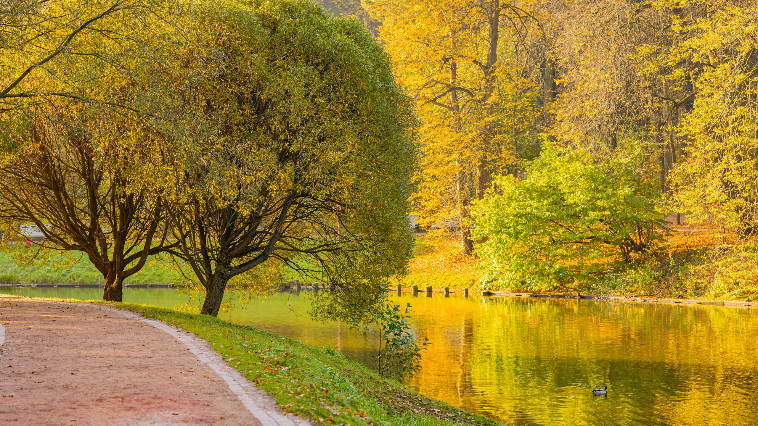 2023 09 Царицыно. Фотографии