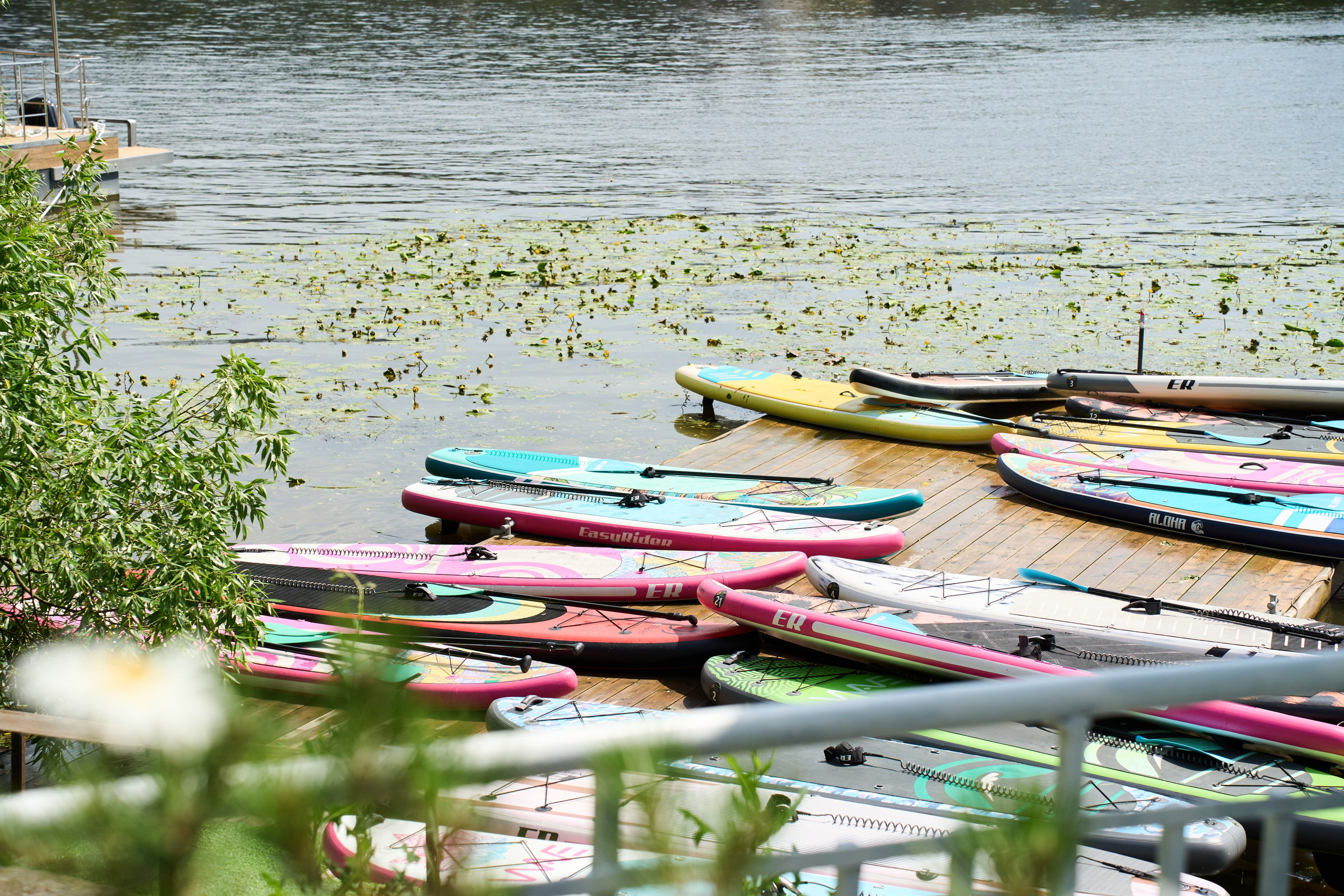 All-hands Третье Мнение 2025. Елизавета Мальгина, фотограф в Москве