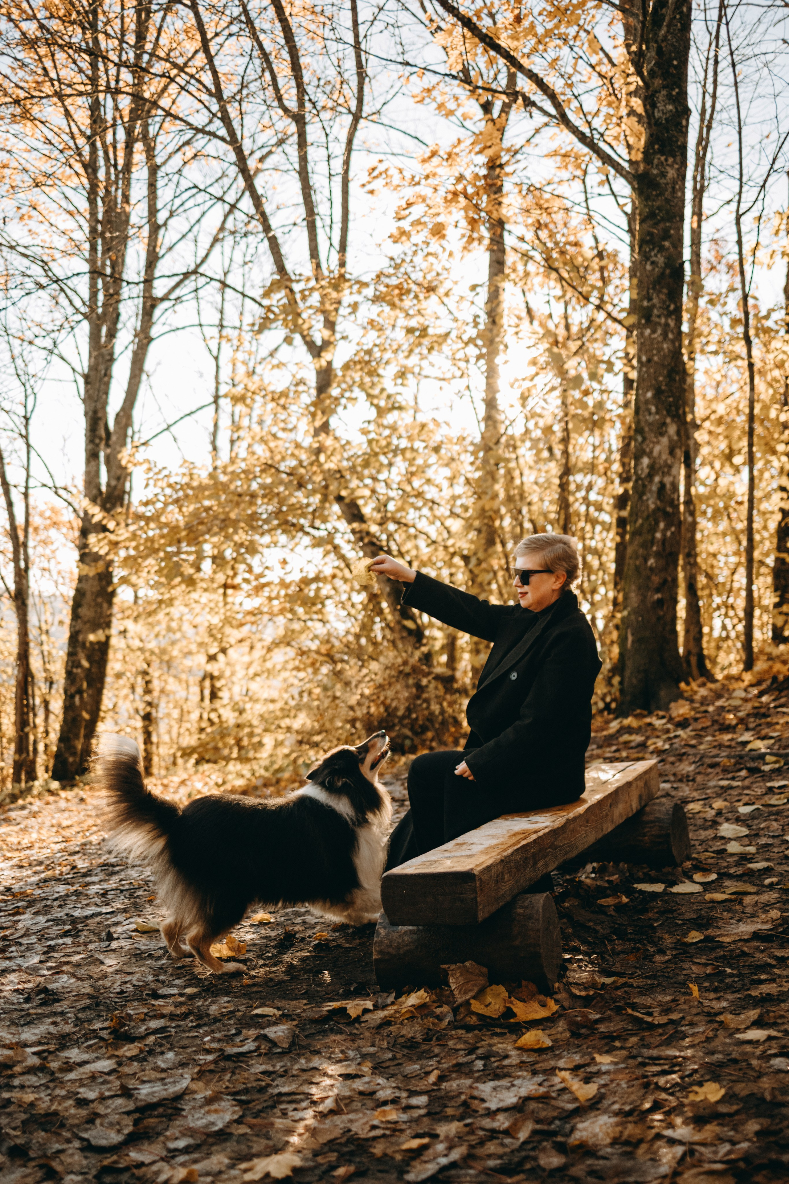 Ия и Барт. Фотограф — Анималист | Санкт-Петербург