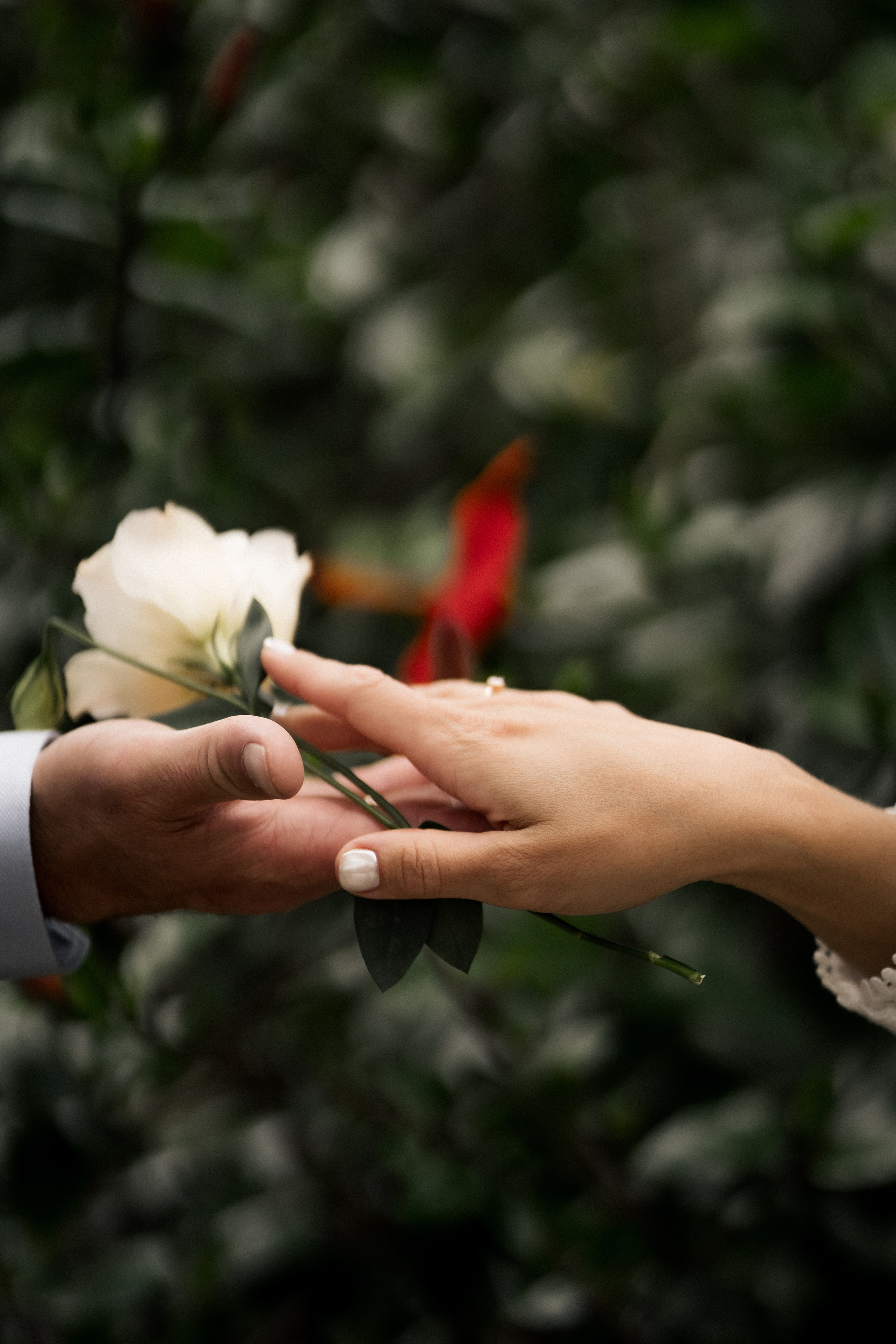 Свадебная фотосессия оранжерее. Анастасия Кузнецова — фотограф в Санкт-Петербурге