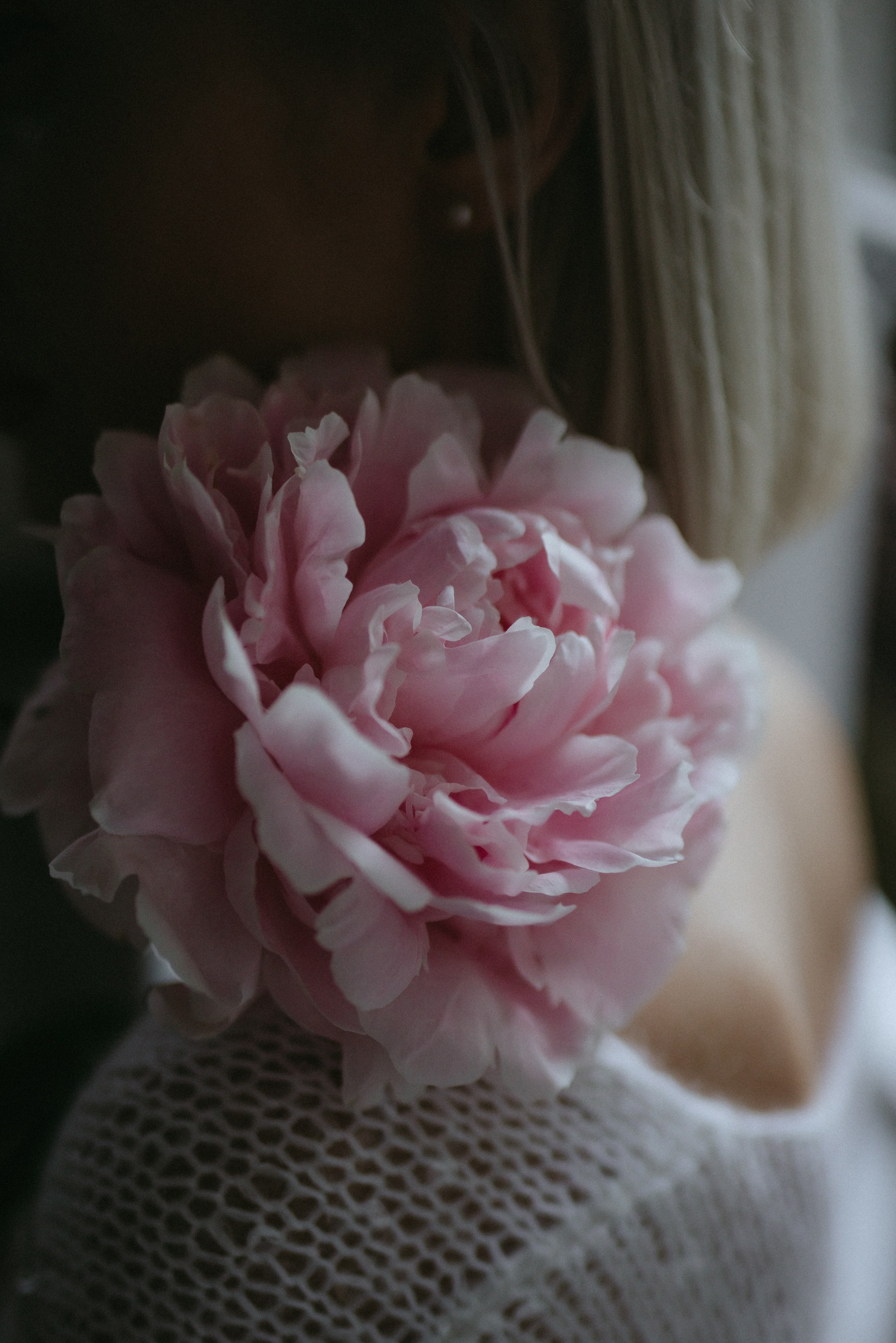 Нежность пионов для Ксении. Фотограф Зеленоградск Красильникова Елена