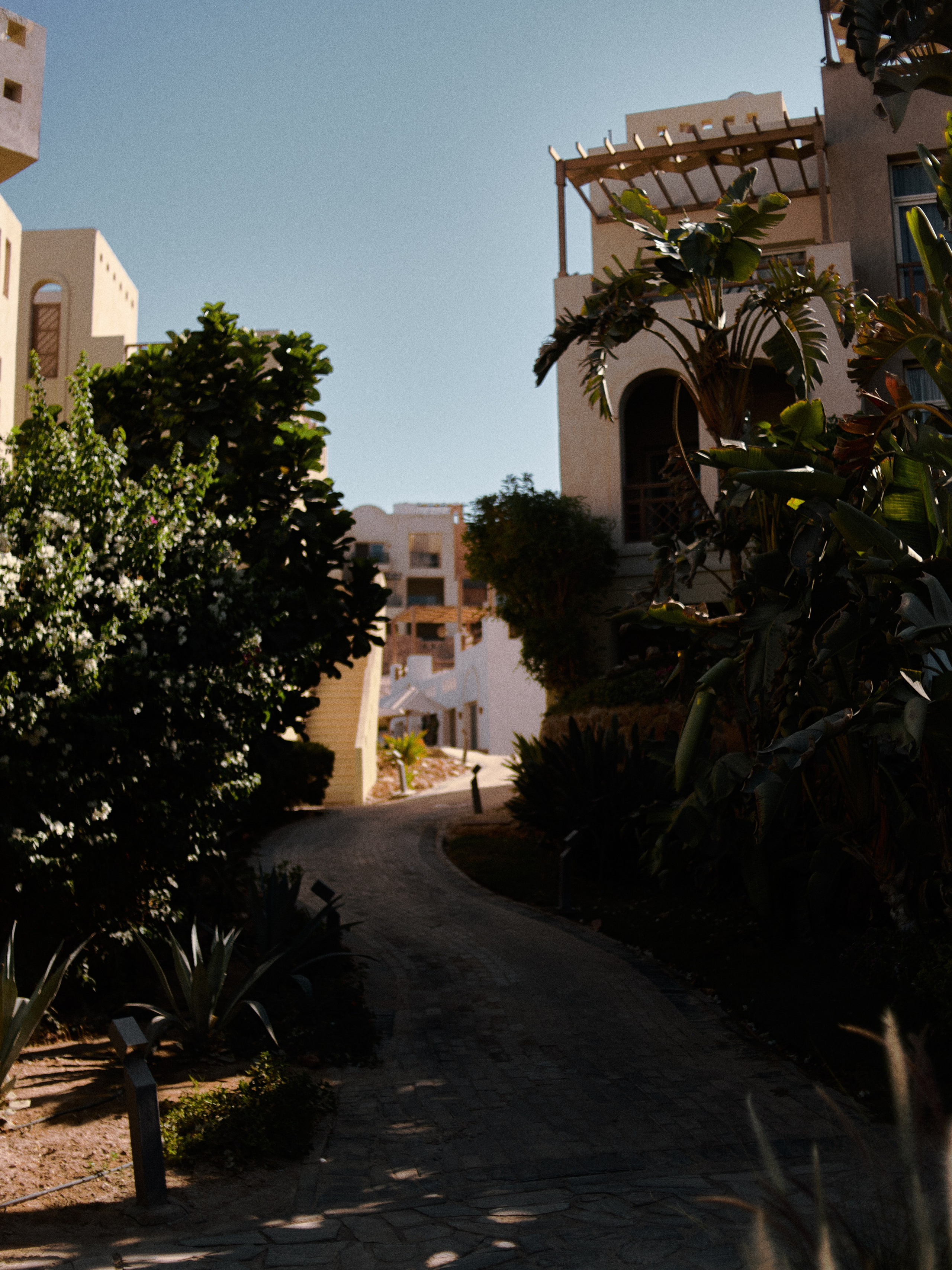 Улицы. Jorgis Talè — photographer, kind person, teacher of arts and other mag