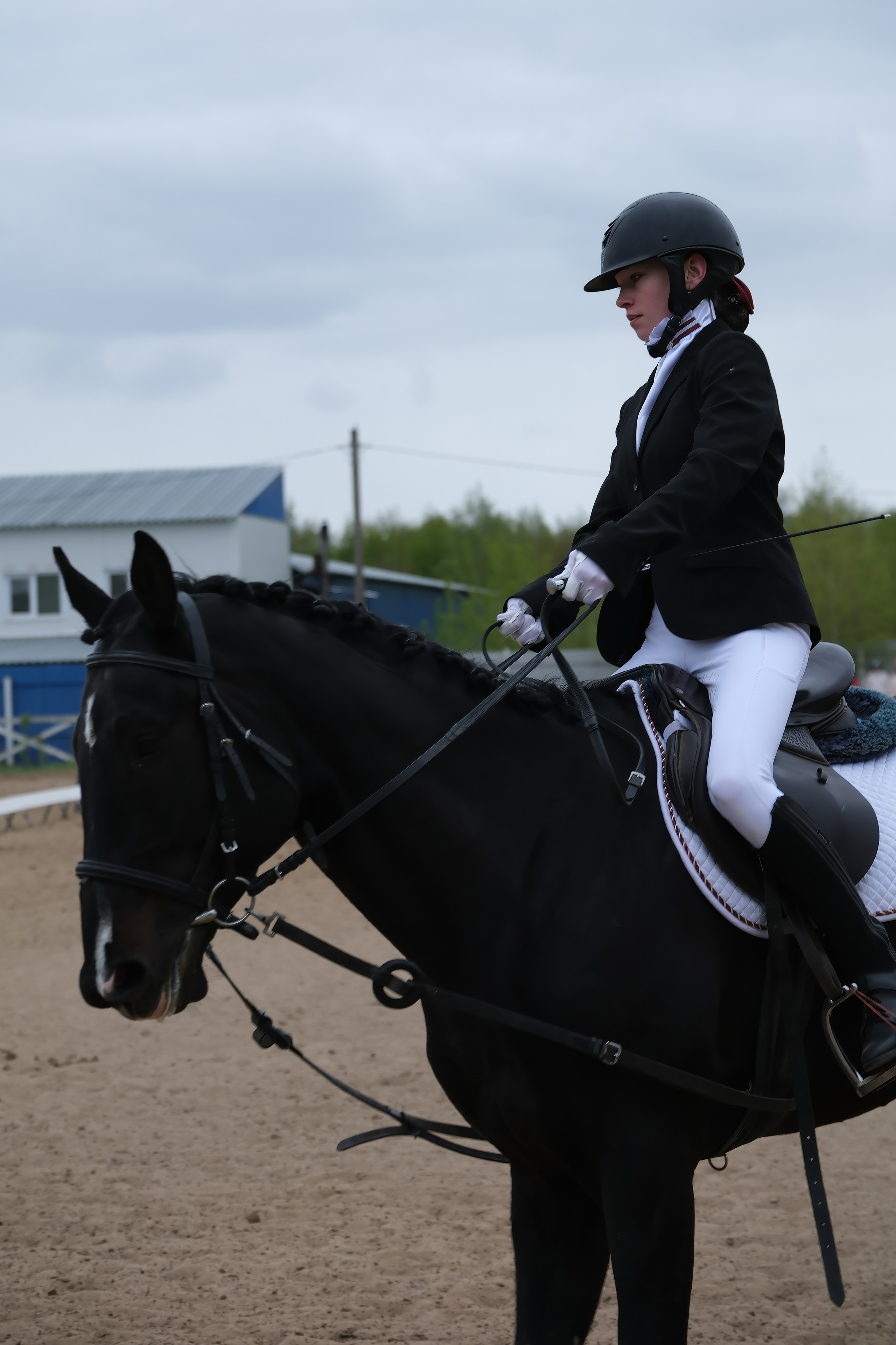 Соревнования по конному спорту в КСК «АЛЛЮР»!. Добро пожаловать в студию «Цифровой скульптор»  где искусство встречается с технологиями!