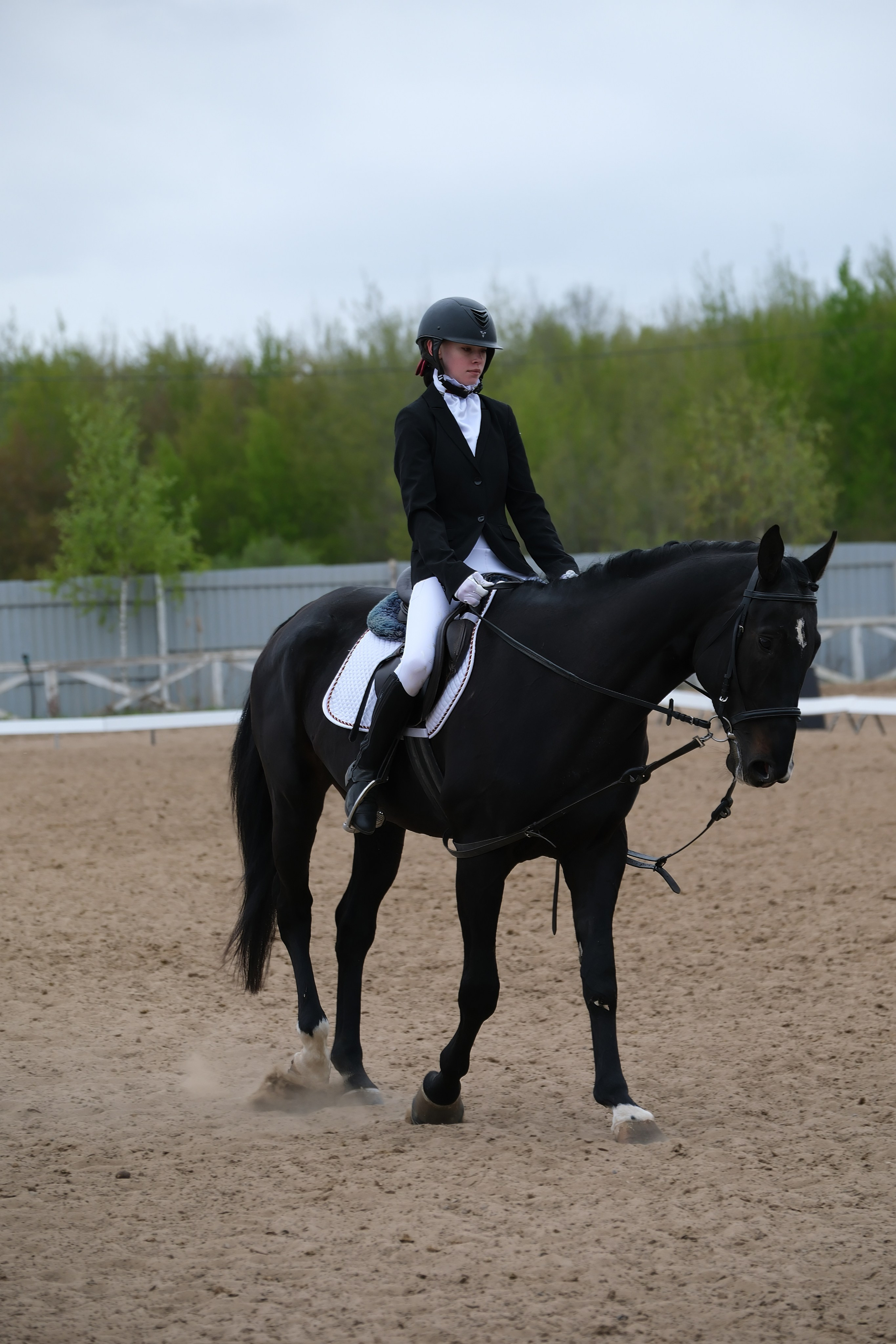 Соревнования по конному спорту в КСК «АЛЛЮР»!. Добро пожаловать в студию «Цифровой скульптор»  где искусство встречается с технологиями!