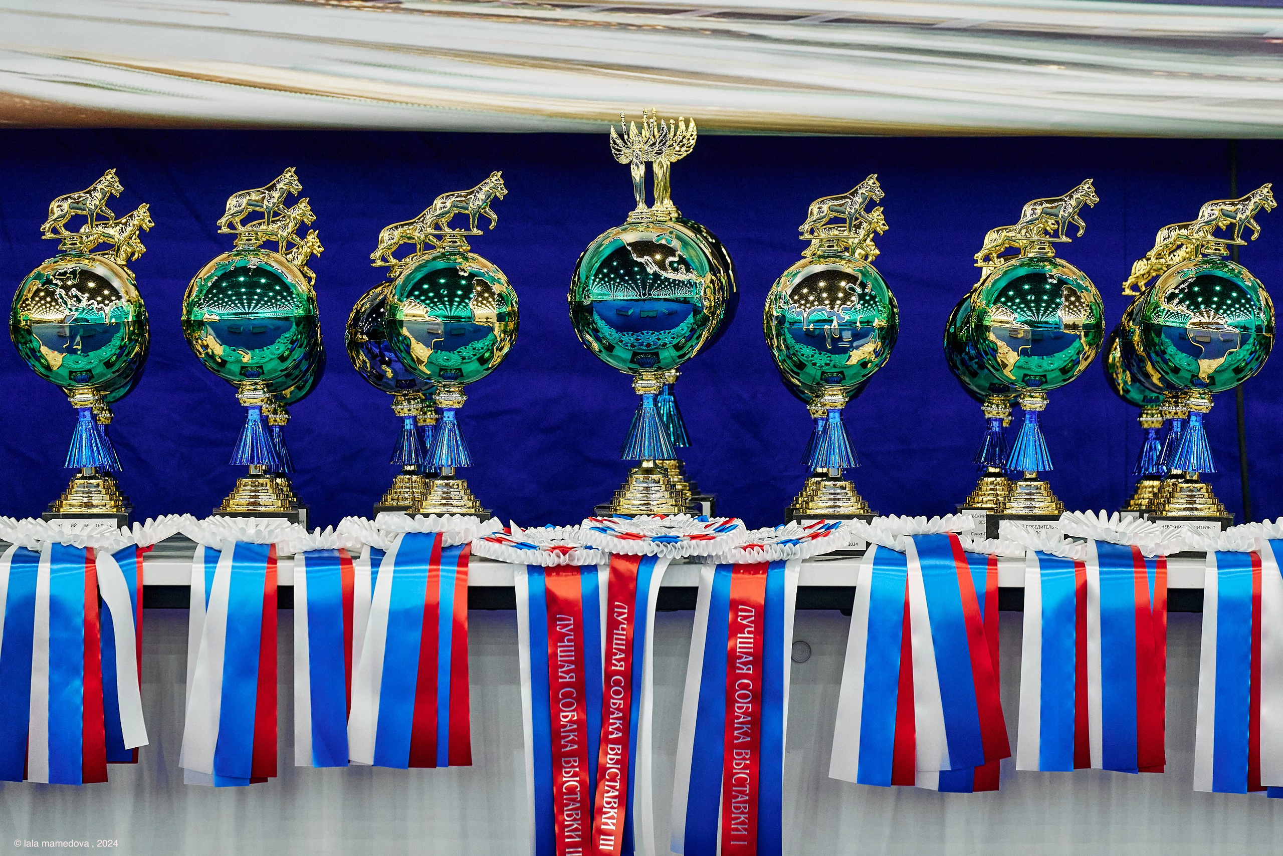 РЕЙТИНГОВАЯ ВЫСТАВКА СОБАК ВСЕХ ПОРОД С ОСОБЫМ СТАТУСОМ"НЕВСКИЙ ПОБЕДИТЕЛЬ-2024-2"