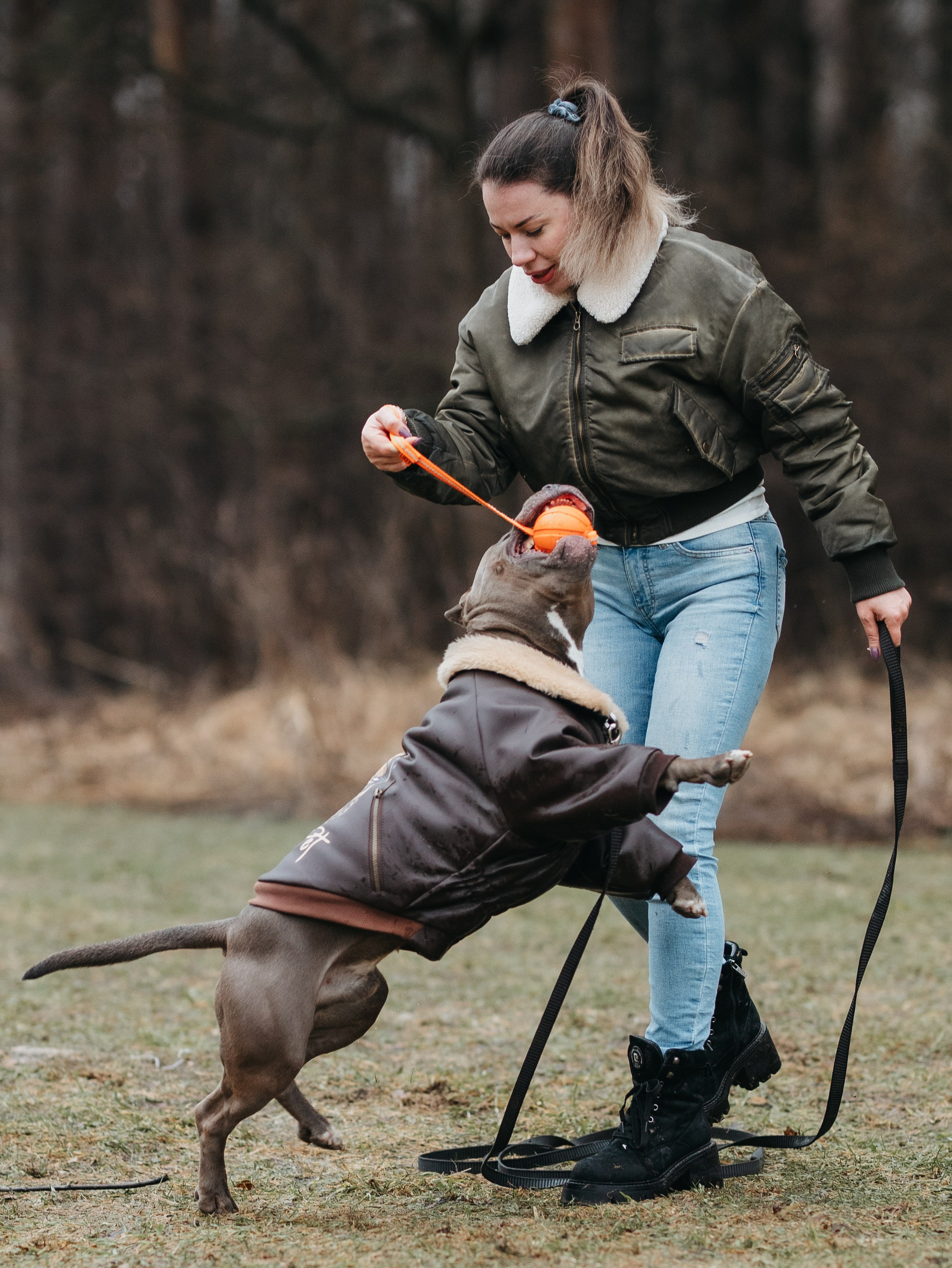 Зевс и Мария. Фотограф-анималист в Москве Кириллова Татьяна