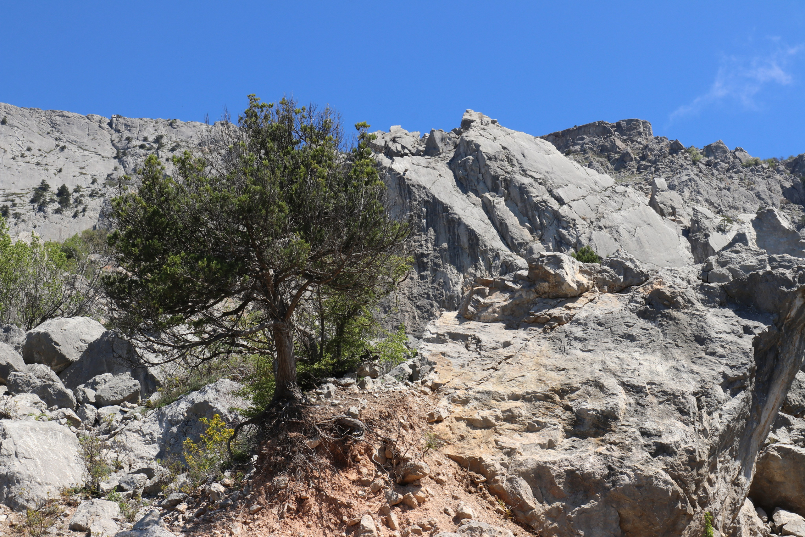 Крым. ЮБК (Севастополь, Кастрополь, Ялта). Май 2023. Путешественник-фотограф из Санкт-Петербурга Татьяна Свистулина