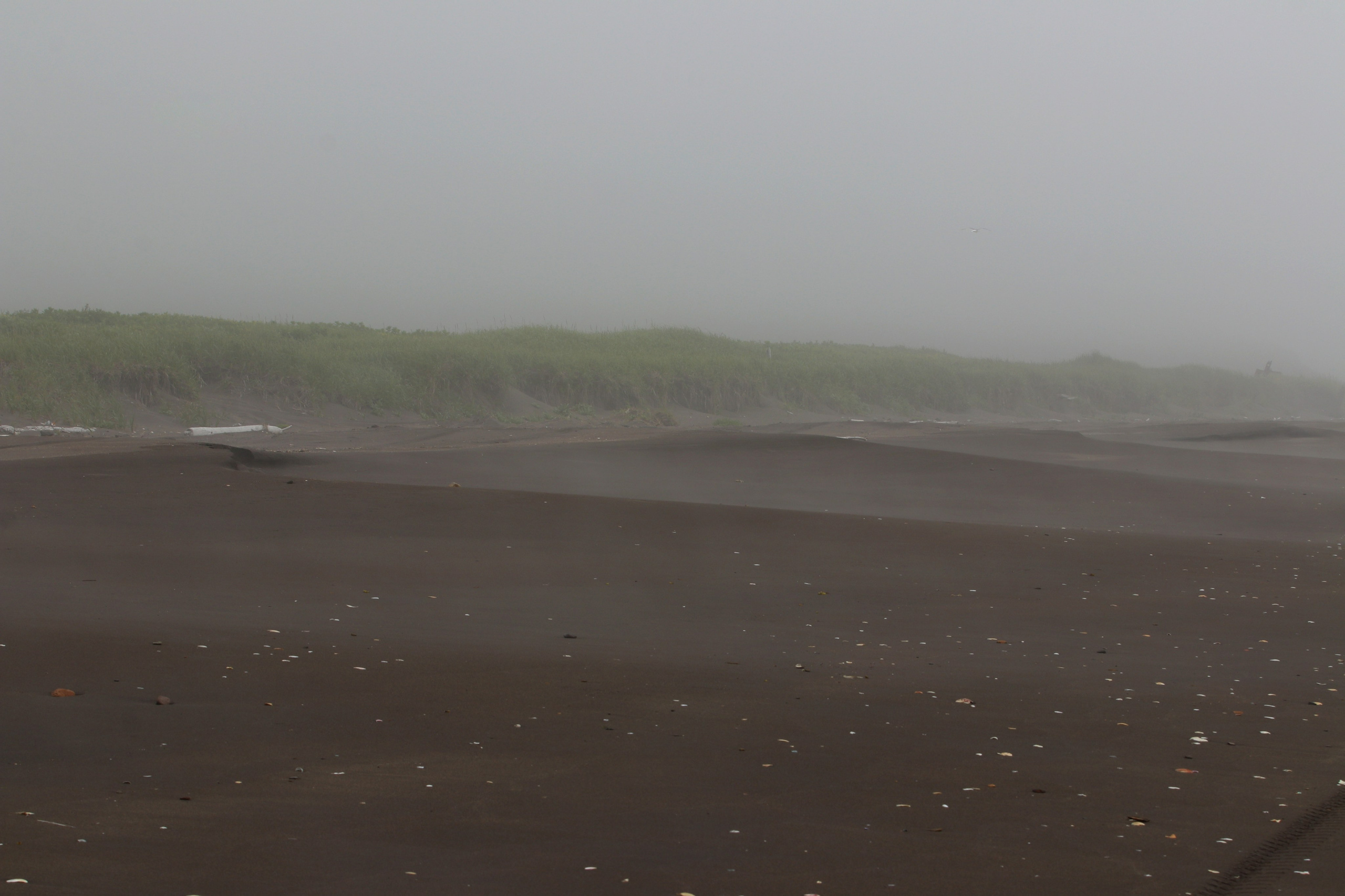 Камчатка и о. Парамушир. Июль 2024. Путешественник-фотограф из Санкт-Петербурга Татьяна Свистулина