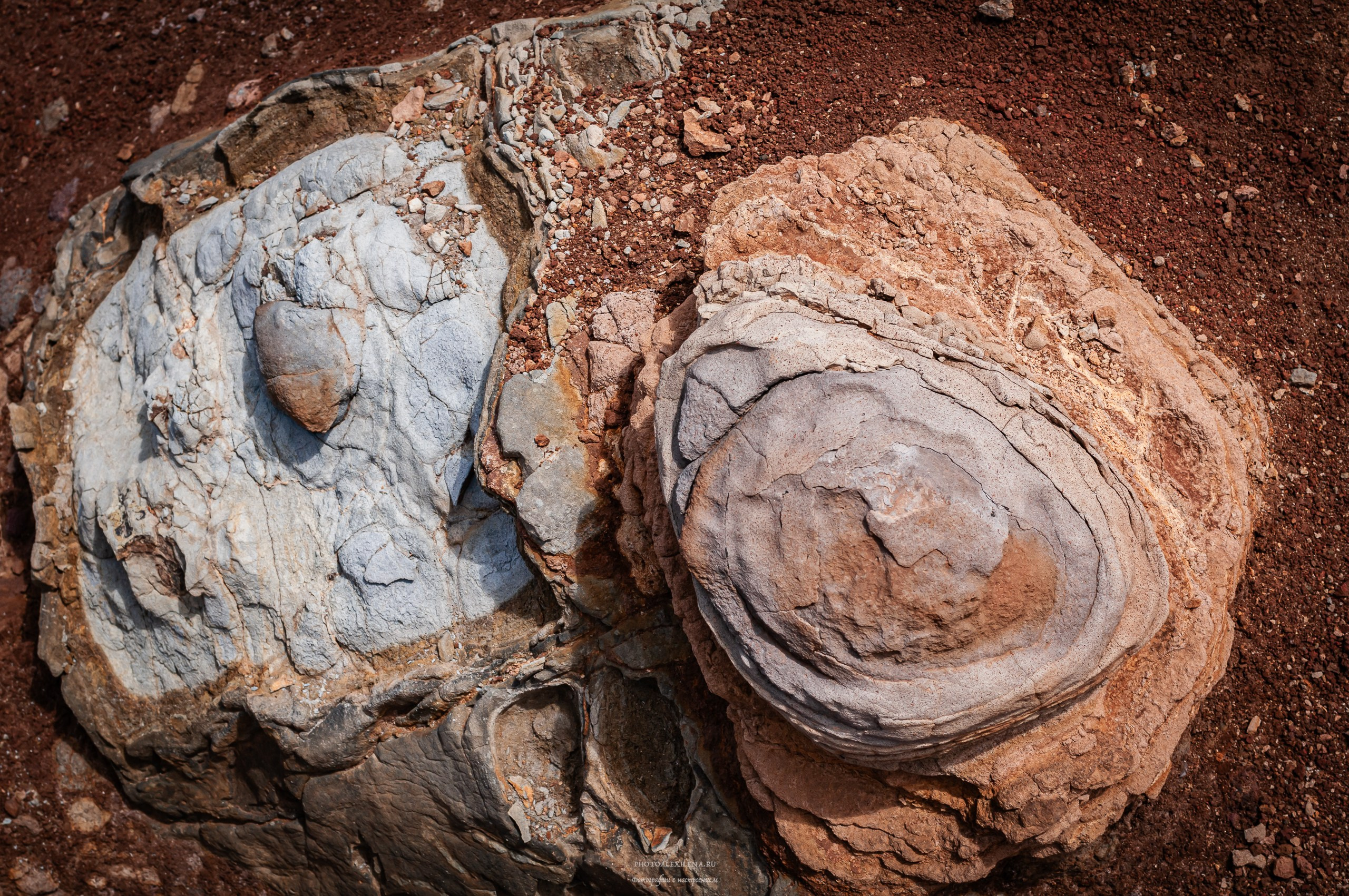 Осязаемая красота. Авторские стильные фотокартины