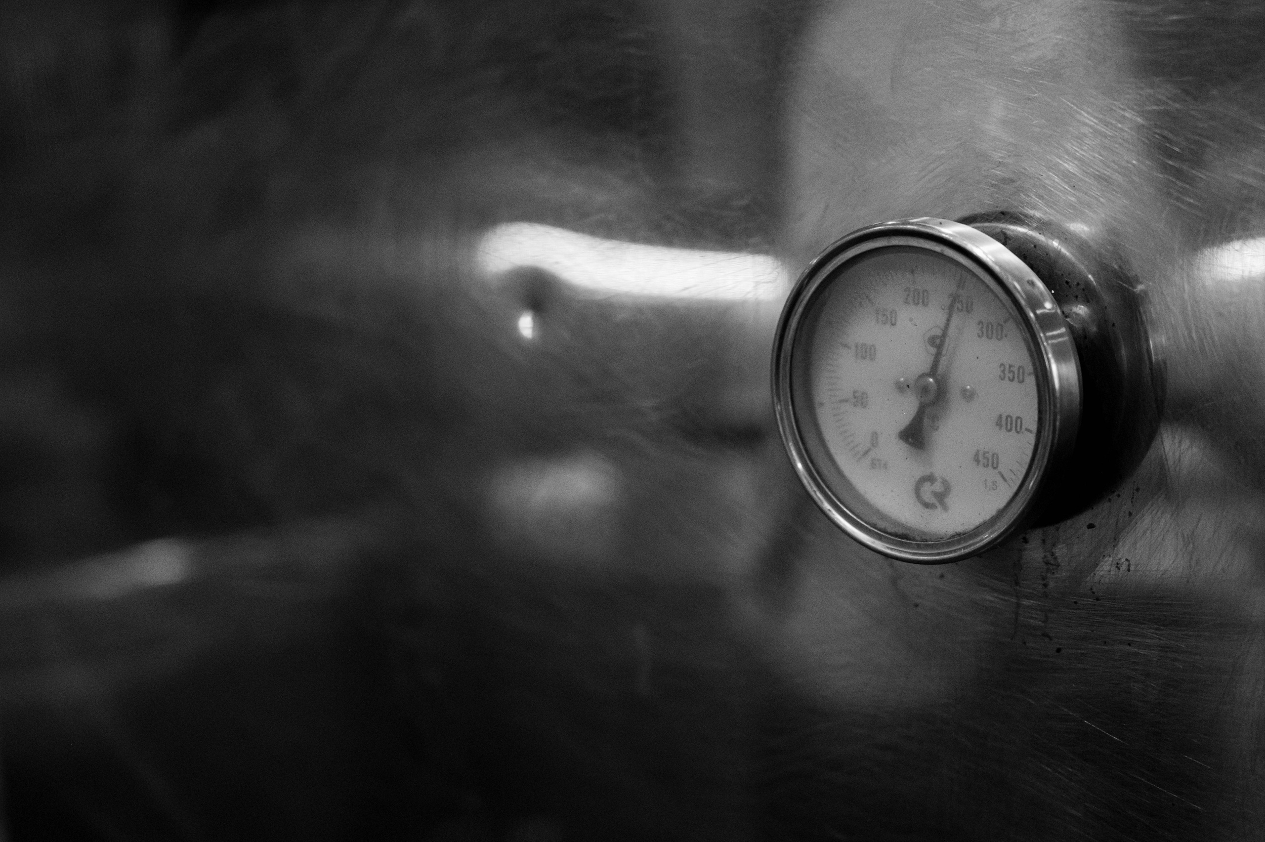 Готовим с шеф поваром ресторана «Матадор». Катерина Дрюкова фотограф/видеограф