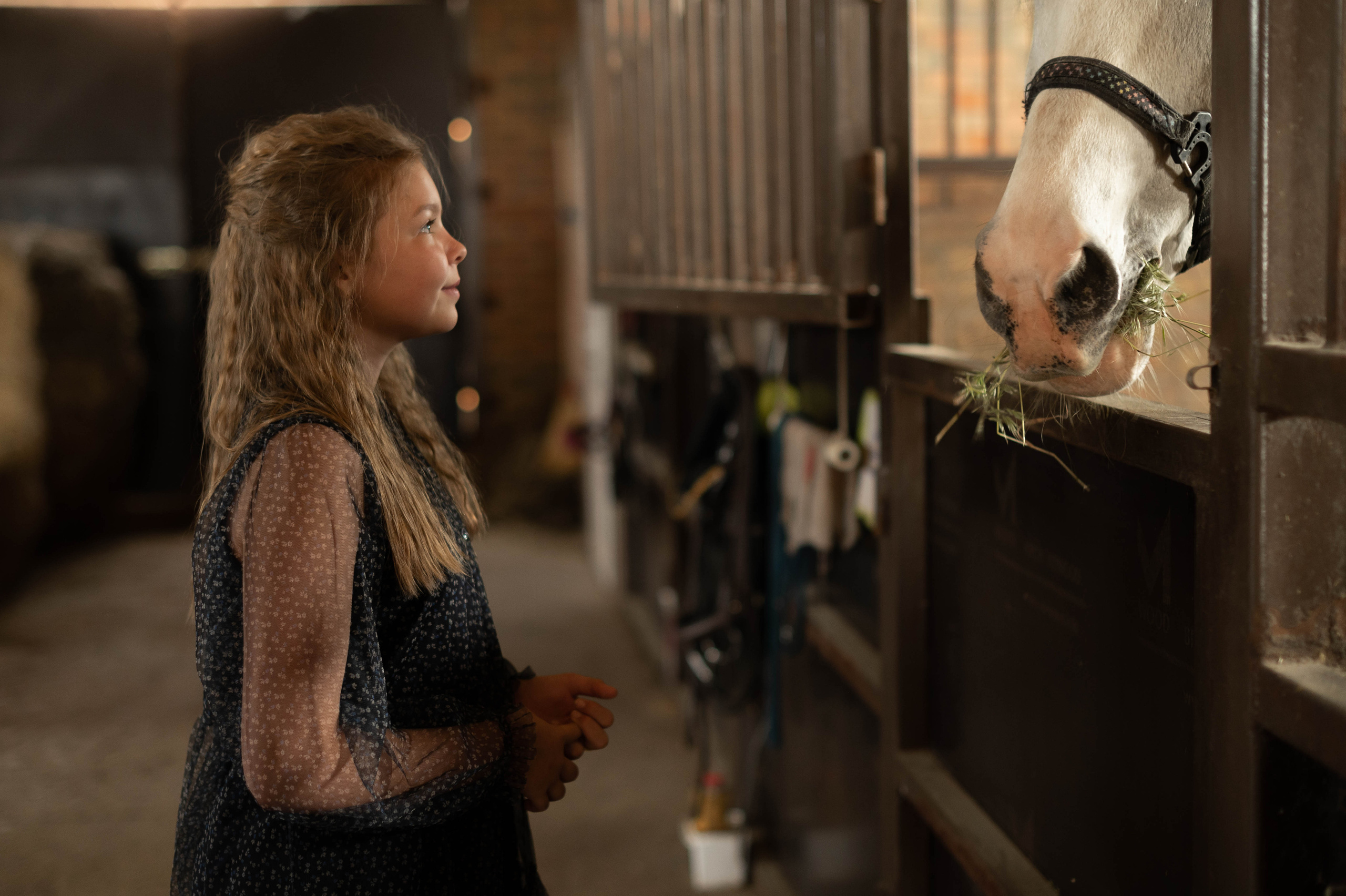 Семейные истории. Катерина Дрюкова фотограф/видеограф