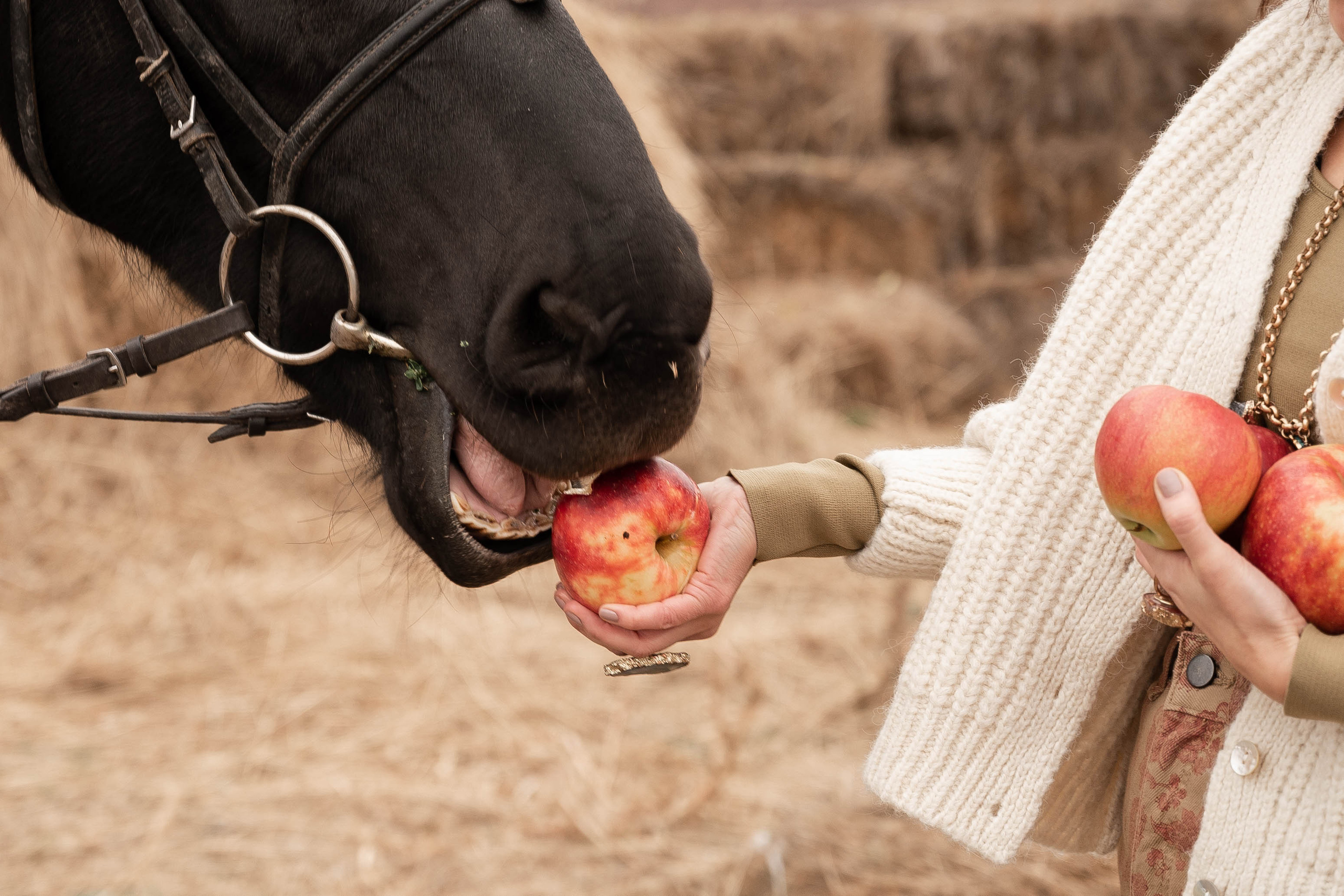 Индивидуальные фотосессии. Катерина Дрюкова фотограф/видеограф