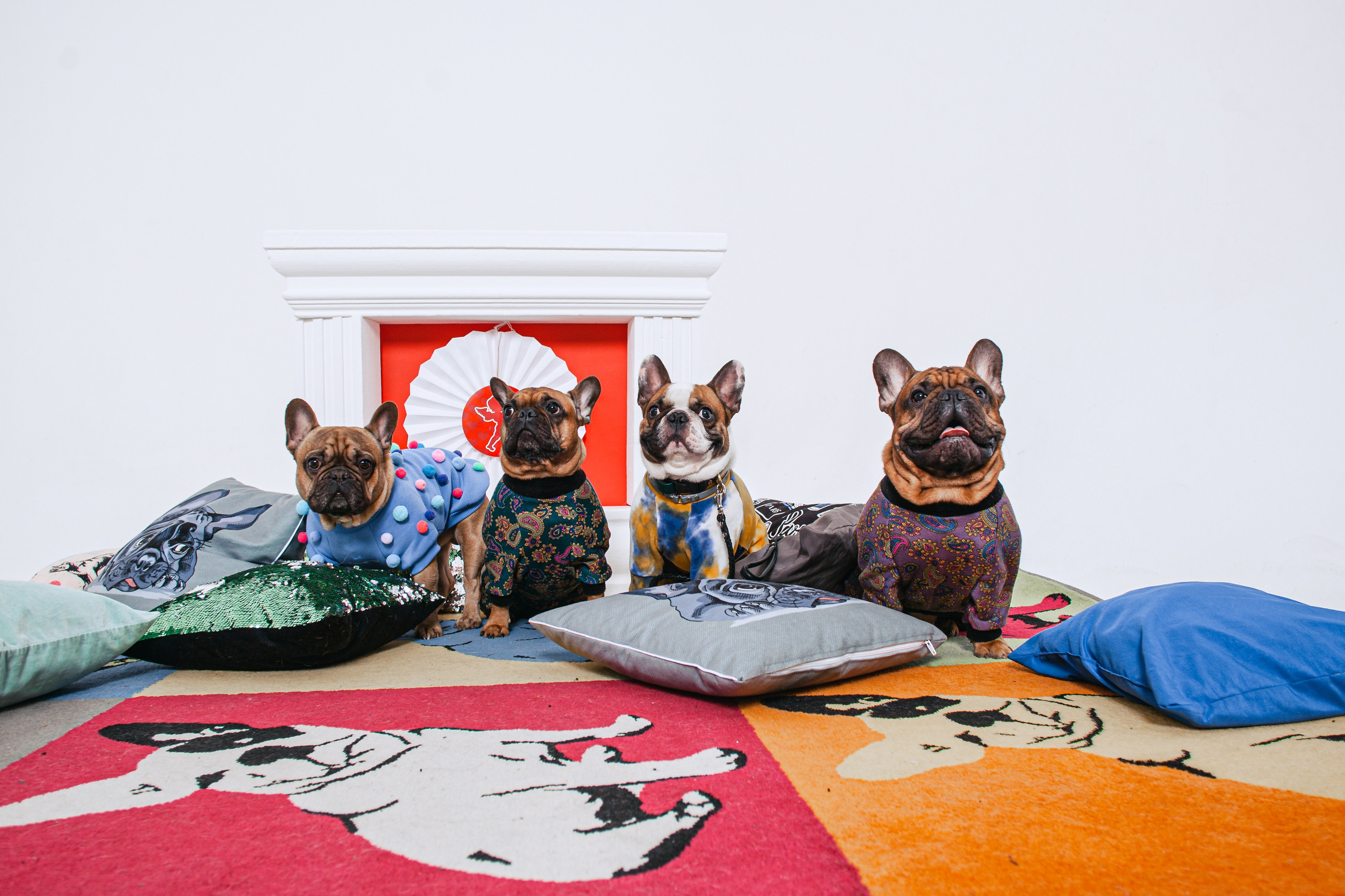 Пижамная вечеринка французских бульдогов и их хозяев. Фотограф-анималист Татьяна Степанова