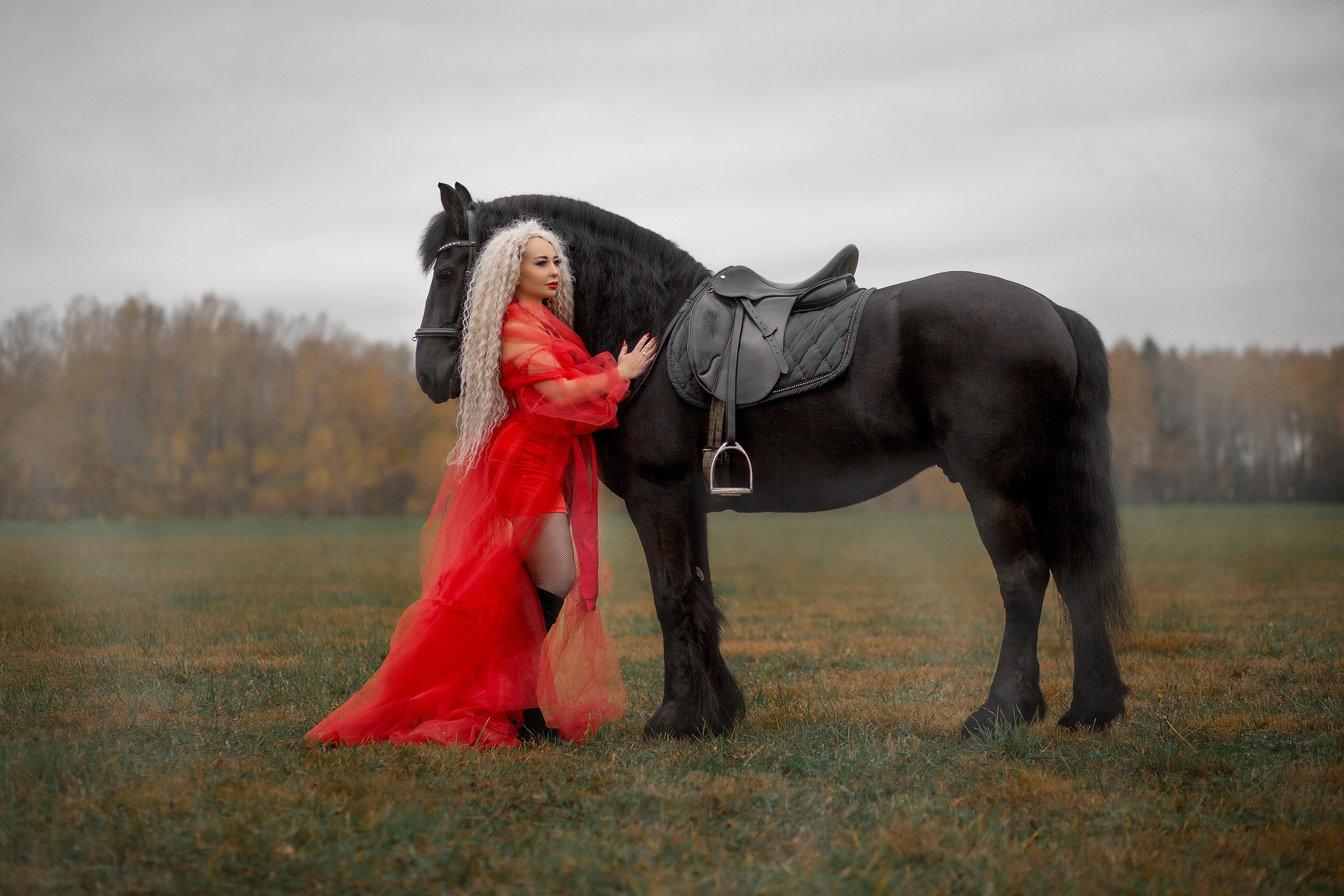 Олена и Дантес (КСК Курцево). Фотосессия с лошадьми в Нижнем Новгороде