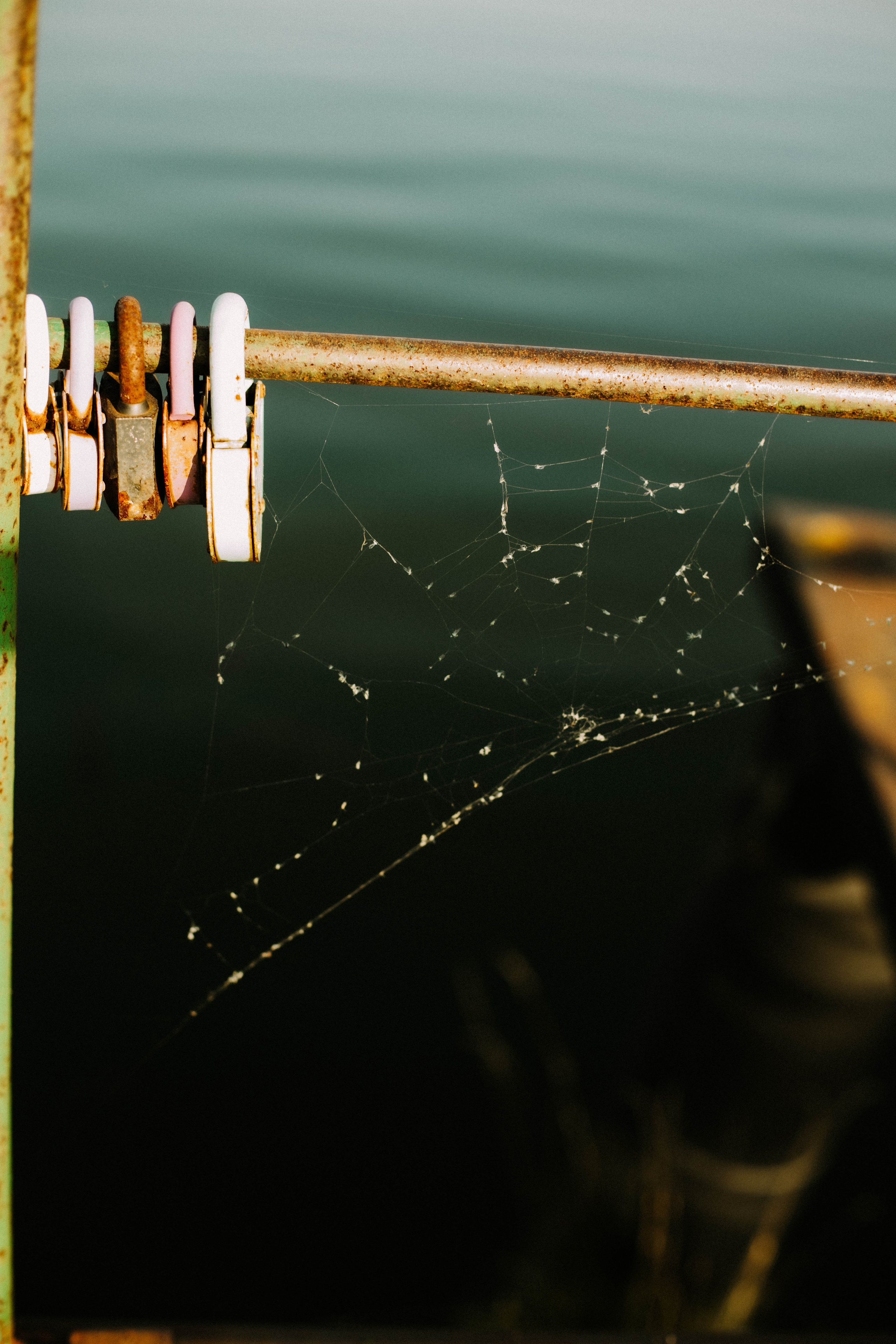 Сева. Ворсма. Фотограф в Нижнем Новгороде
