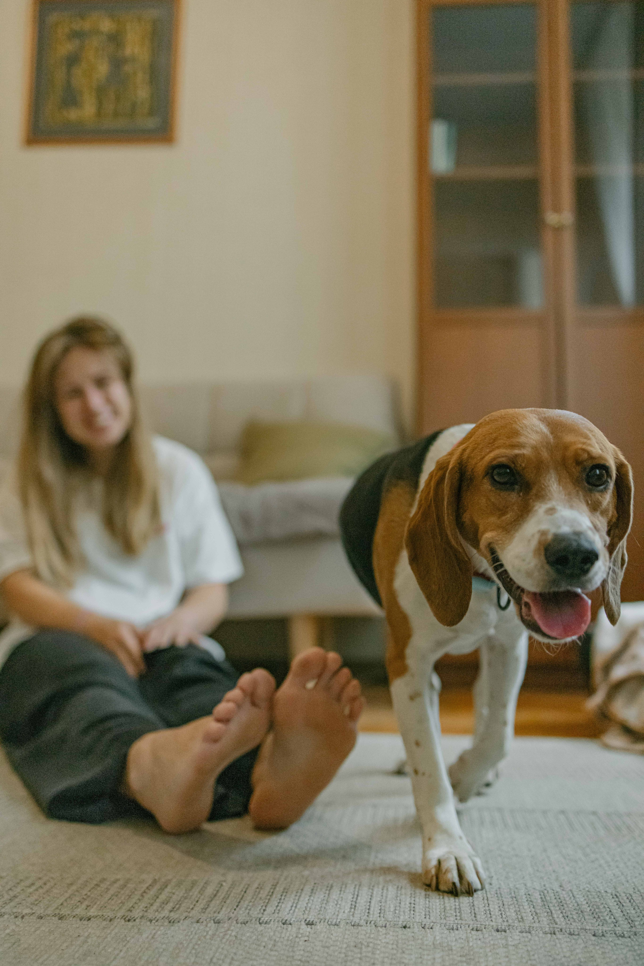 Света и Ива. Фотограф-анималист в Москве Лера Черноног