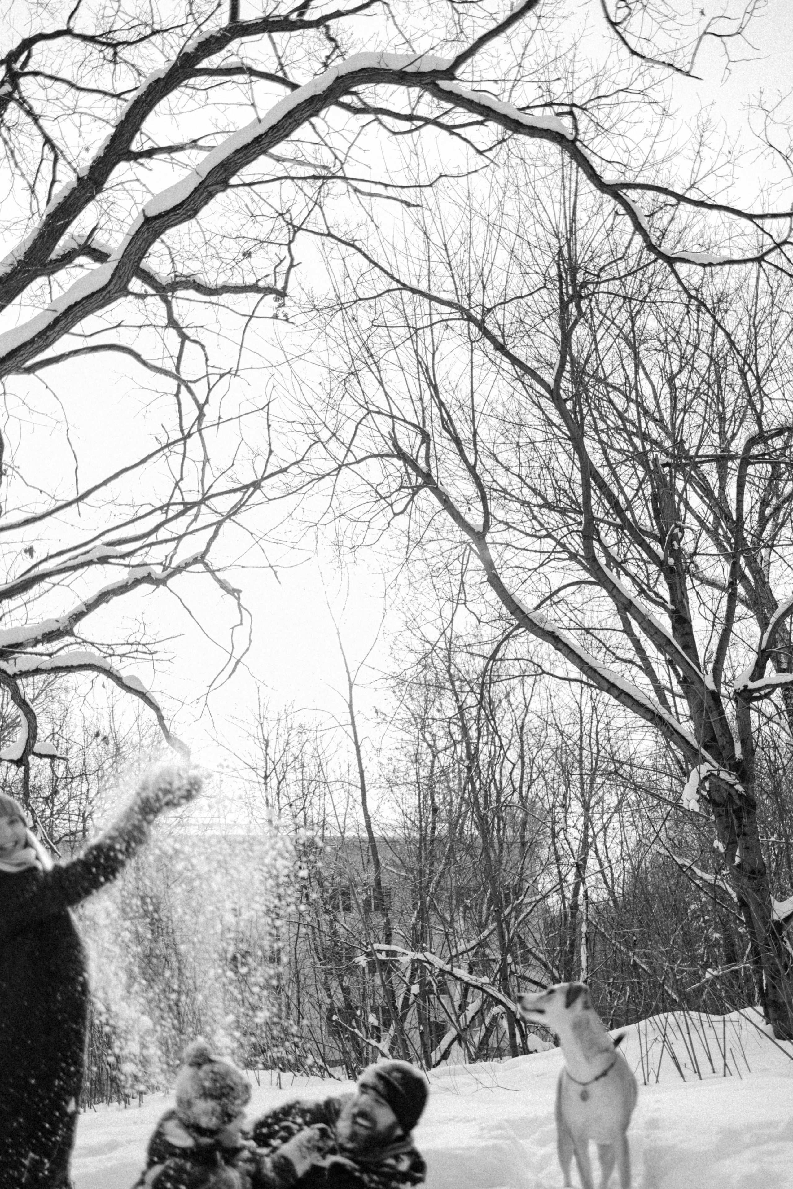 Свобода и ее семья. Фотограф-анималист в Москве Лера Черноног