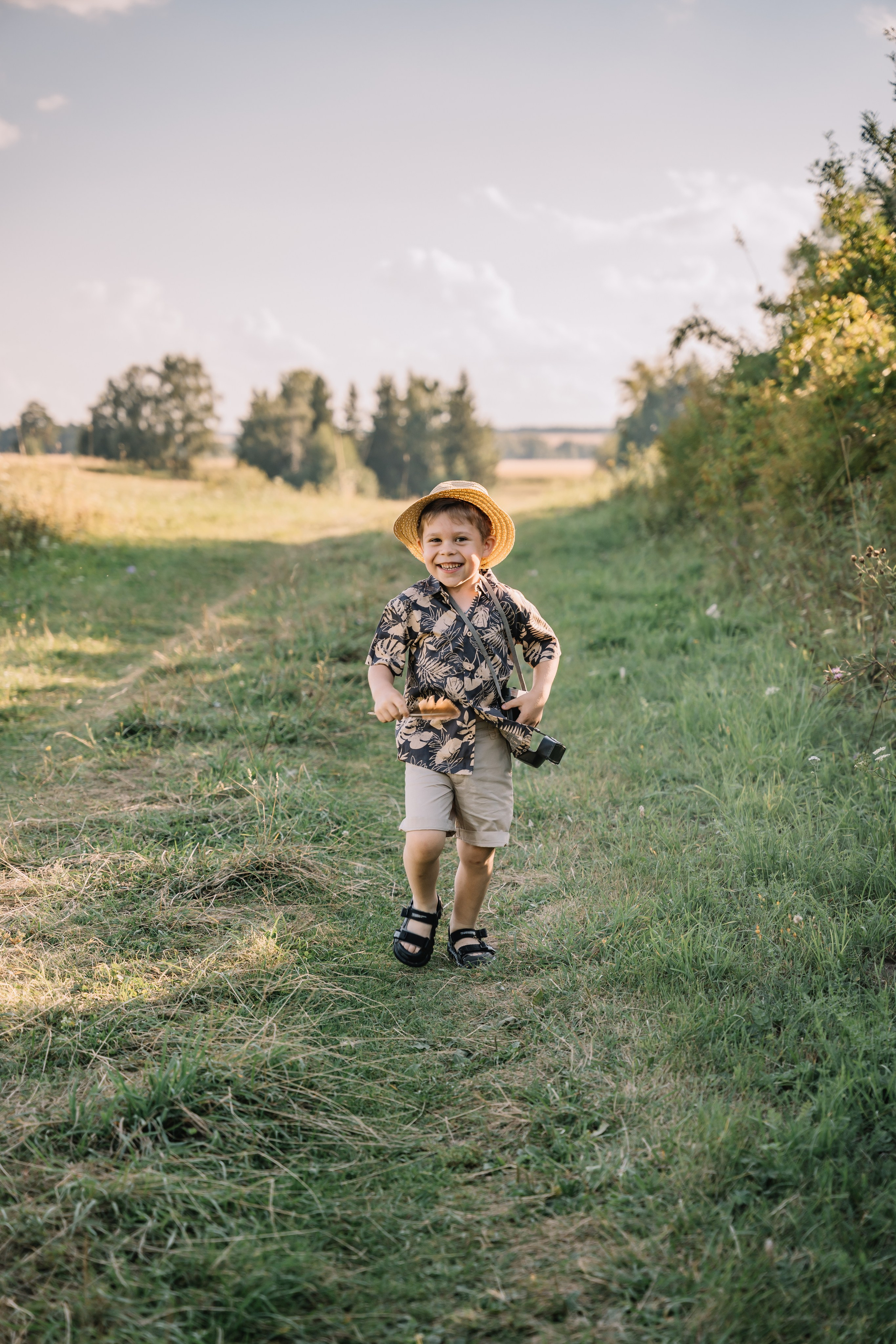 Гуси лебеди