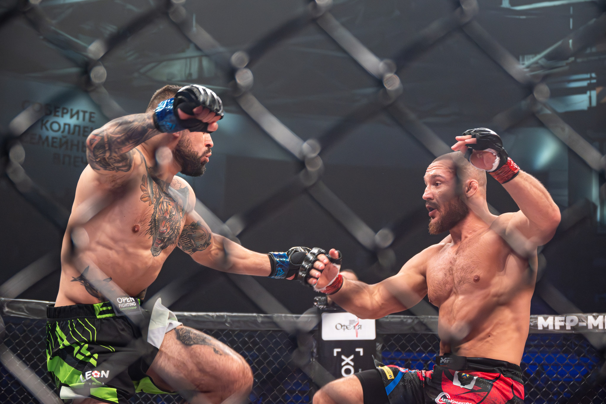 ПАНКРАТИОН. Репортажный фотограф Владислав Остерман