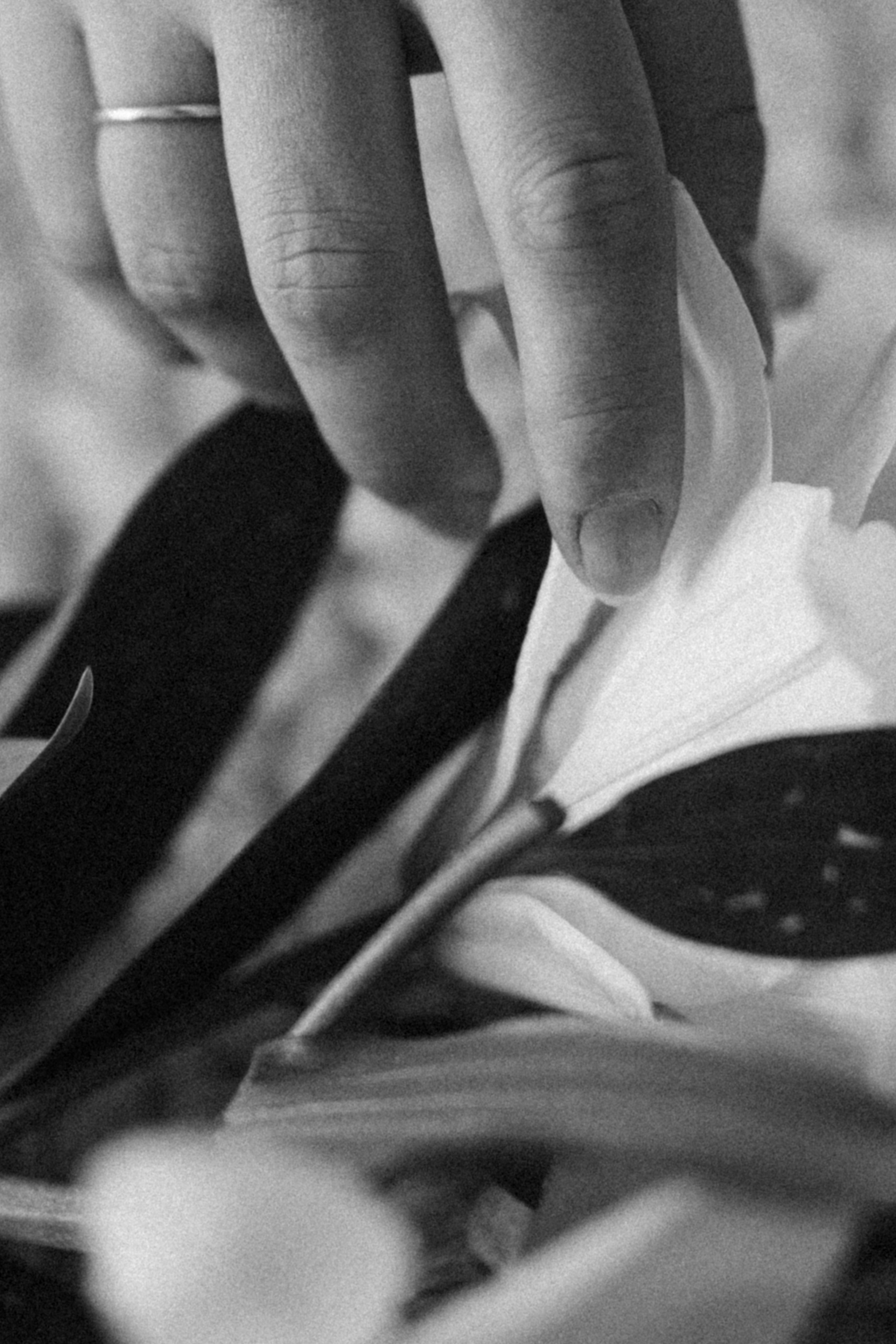 Белая лилия. Варвара Синицына: семейный фотограф в Москве