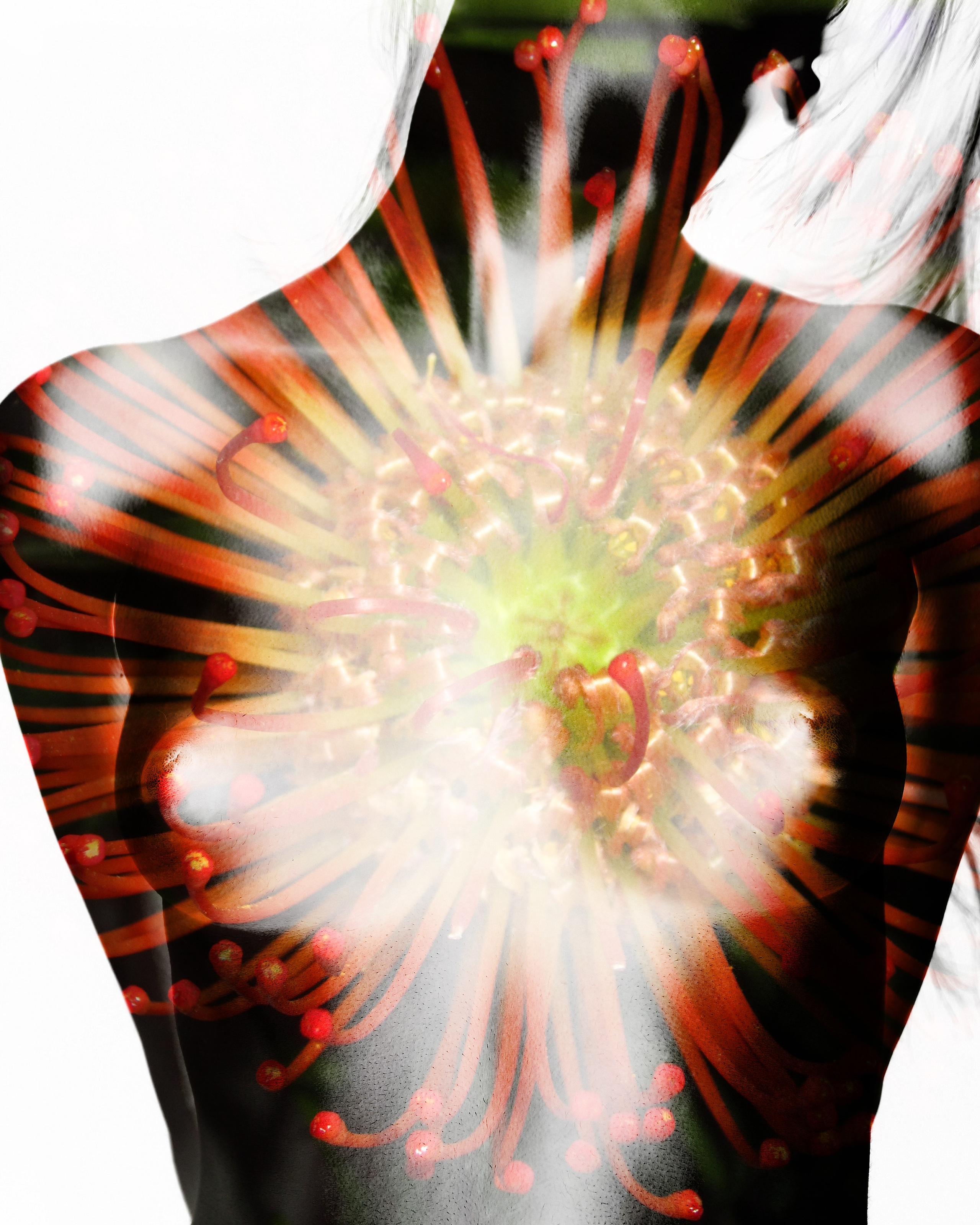 FIGUR. Контент-креатор Паша Норицын