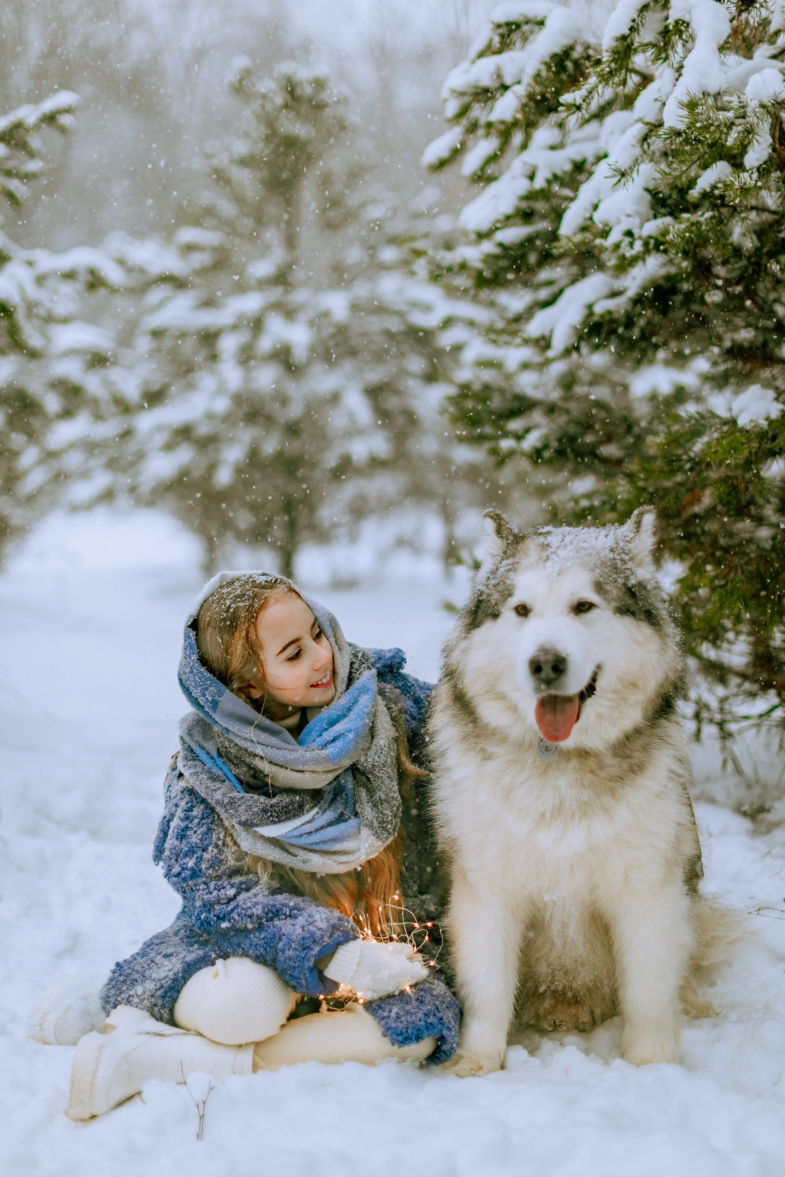София и аляскинский маламут. Фото и видео Москва, Московский. Свадебный фотограф, видеограф, фотосессии, видеосъемка