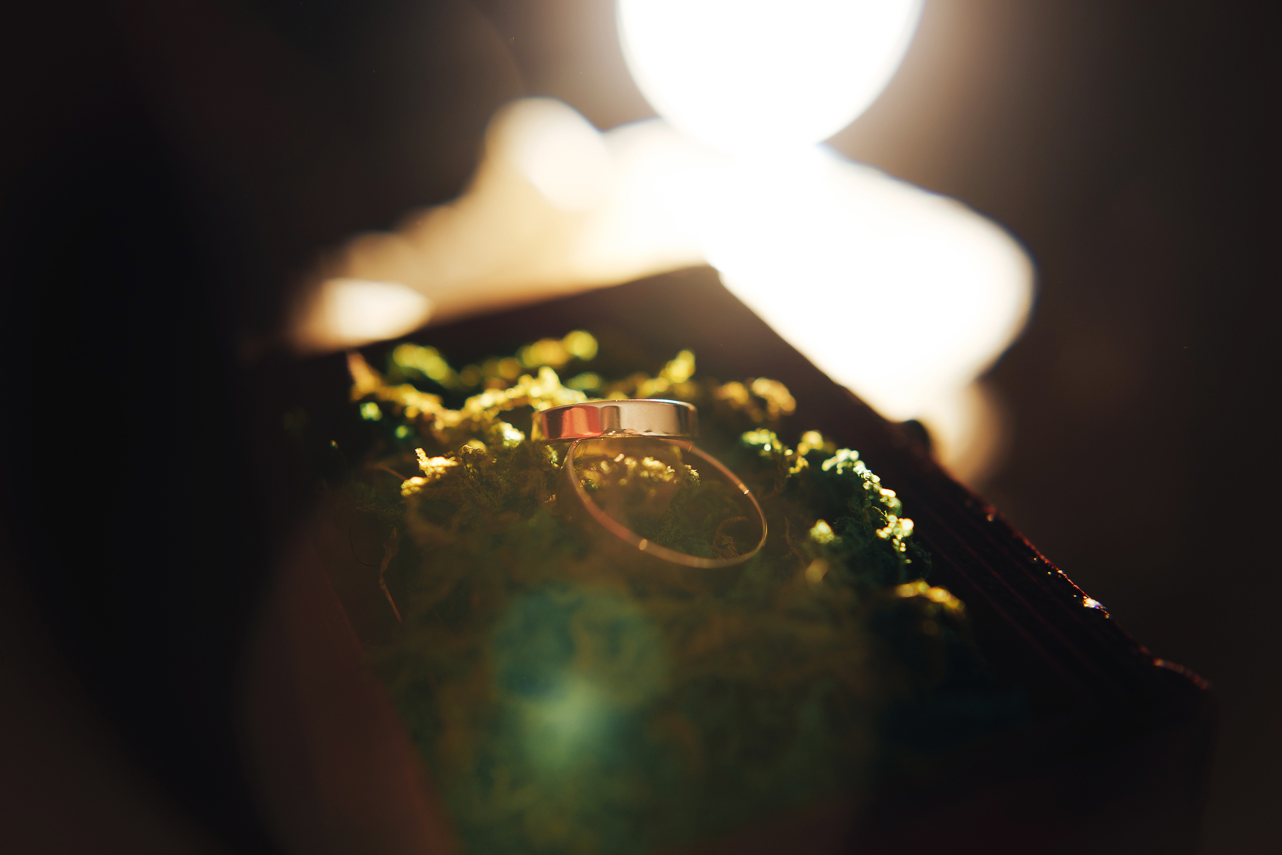 Заказать свадебную фото и видеосъемку в Калининграде. Фотосъемка и видеосъемка в Калининграде Liveemotion.pro