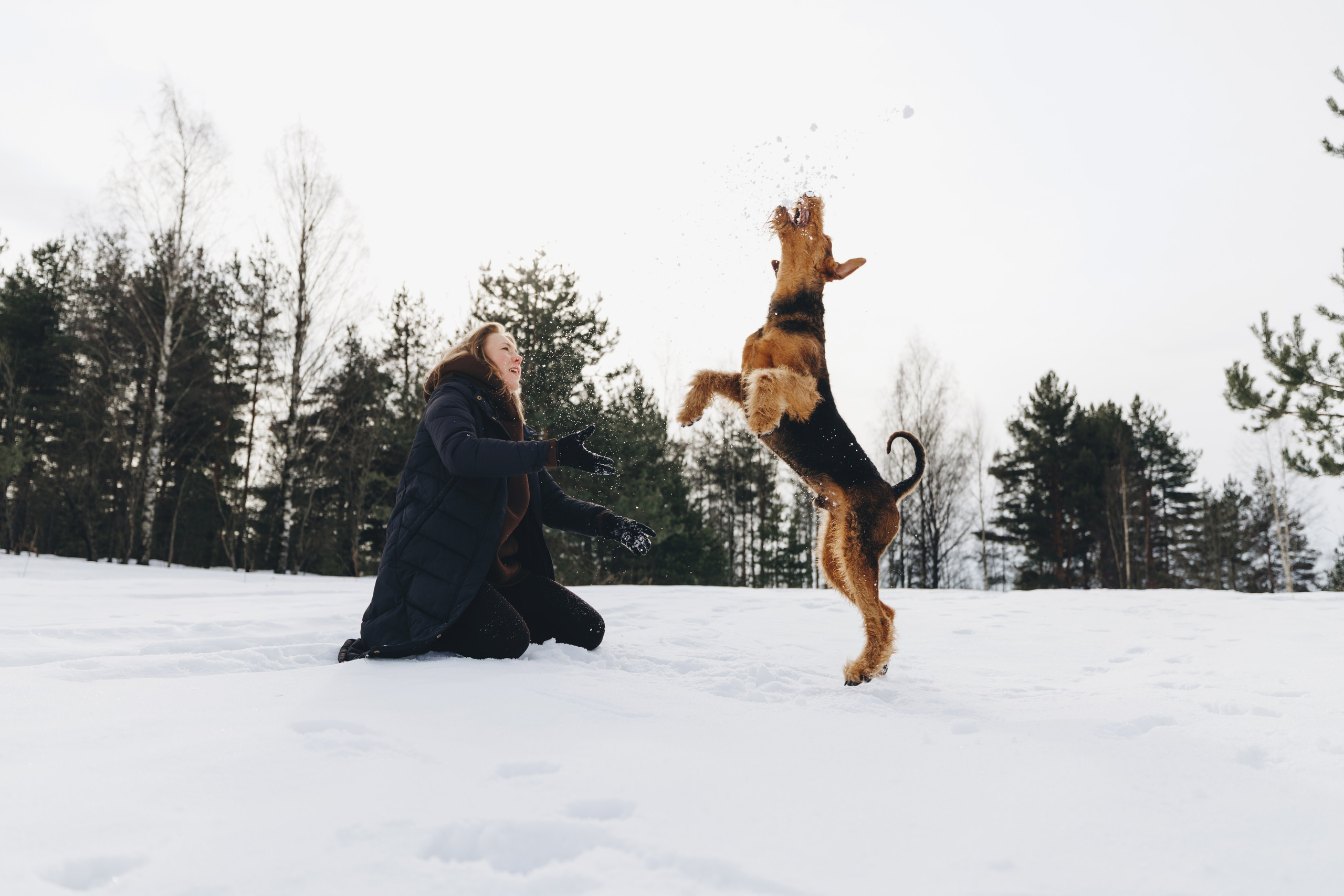 Оля и Хард. Фотограф анималист Осипчикова Мария