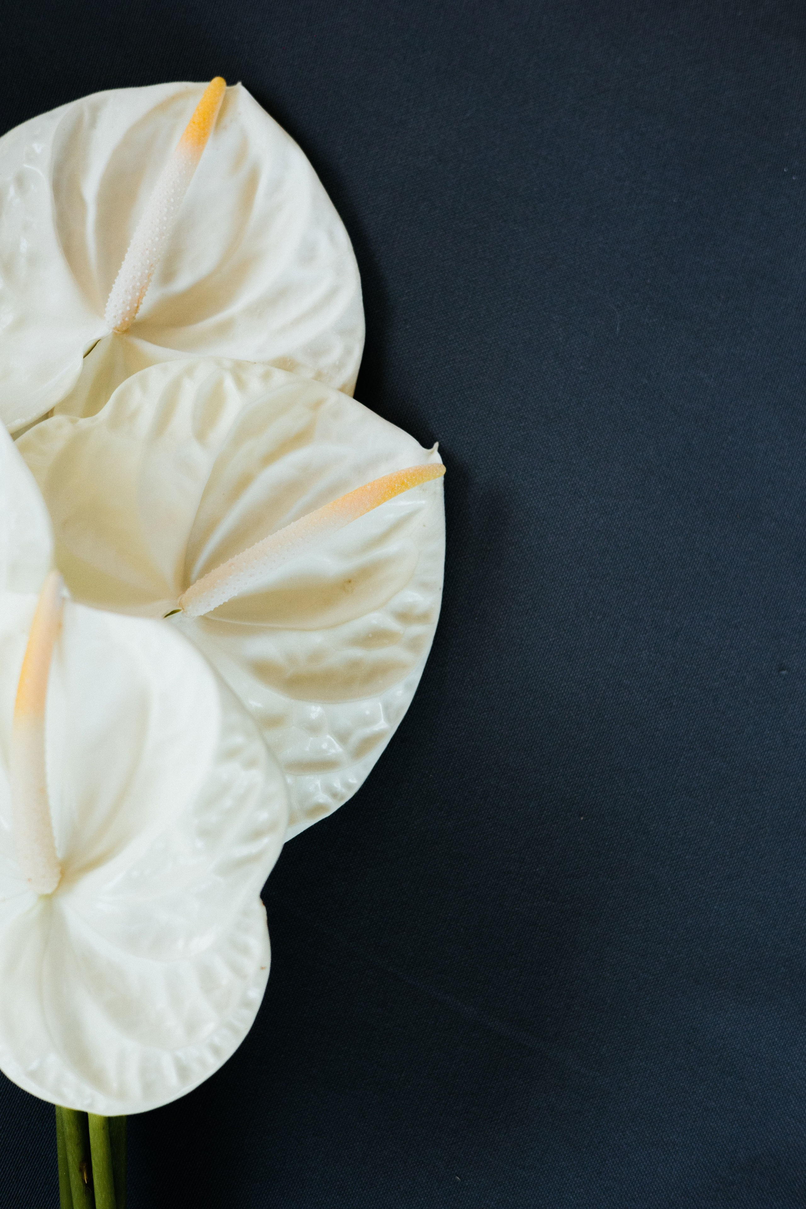 Евгения и Левон | Свадебная годовщина. Свадебный фотограф Минск РБ