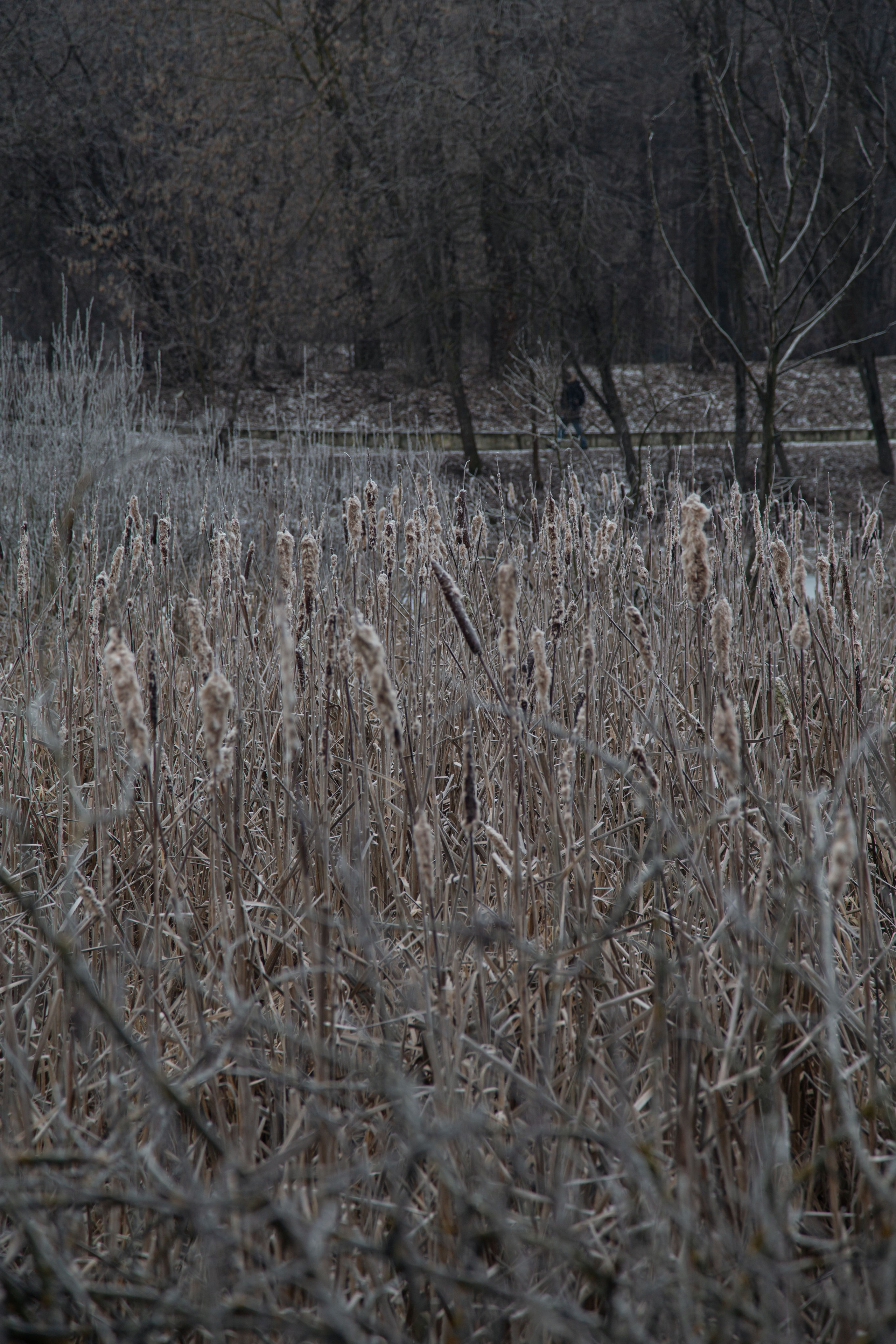 Воздух февраля. Dmitriy [KCCC] is a pretty cool photographer