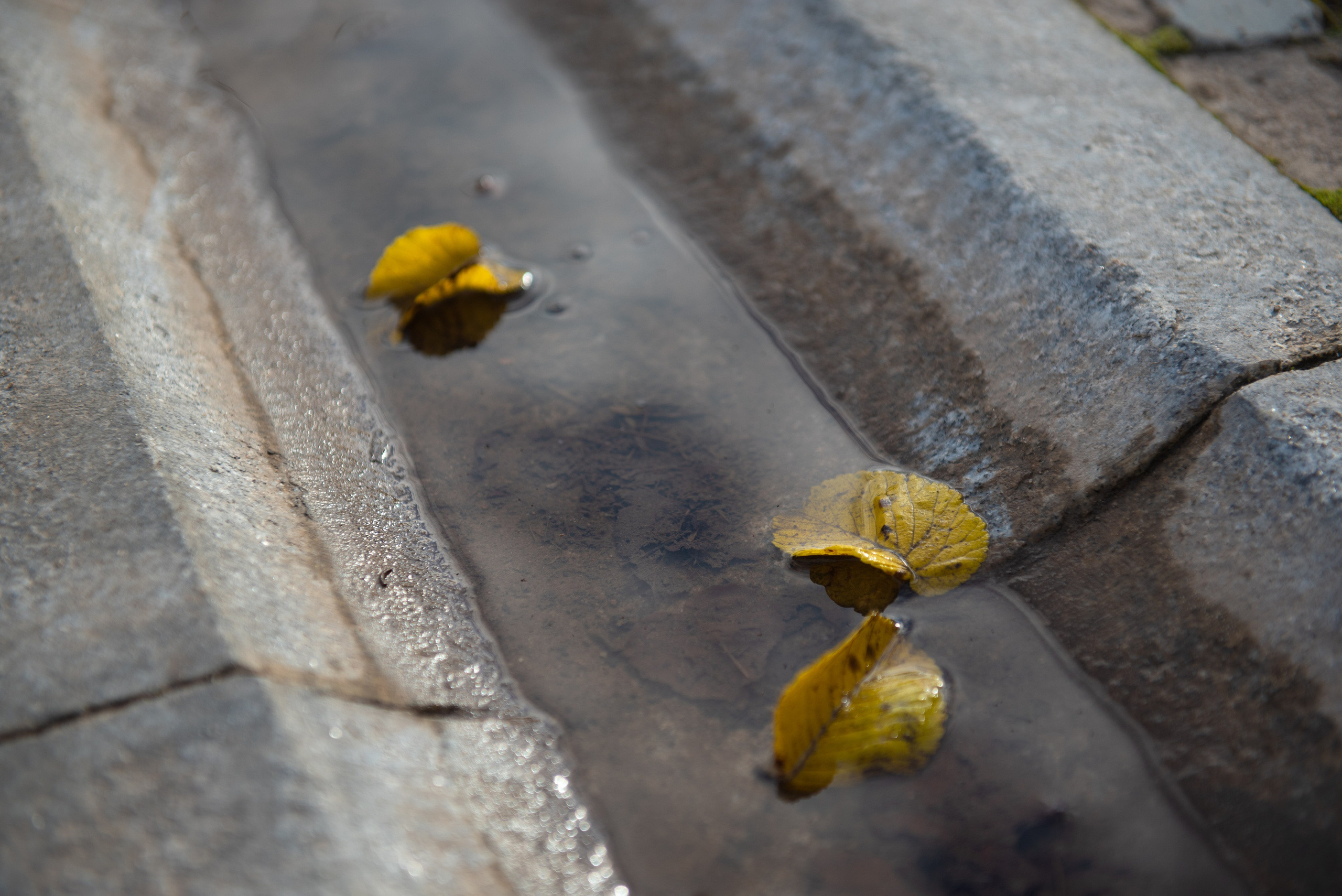 Печоры. Портретный и архитектурный фотограф в Москве и Санкт-Петербурге