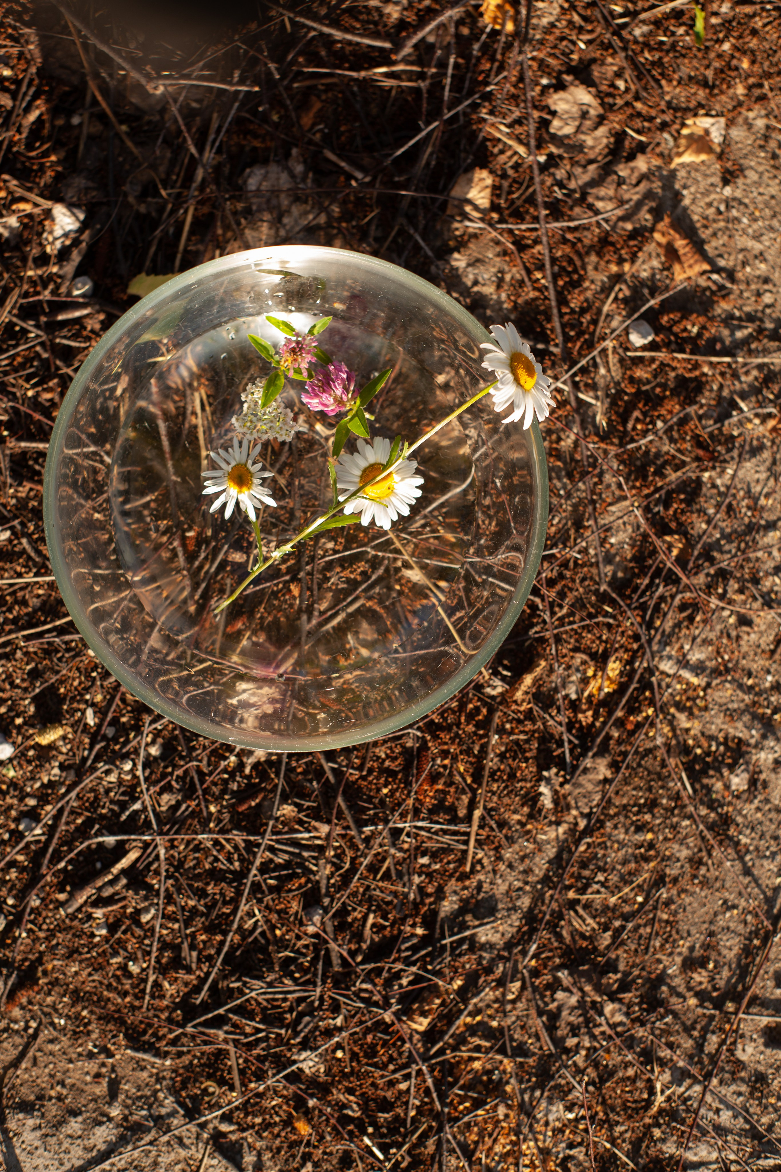 Таня. Детская съёмка на природе. Марина Лавинская Фотограф из Москвы