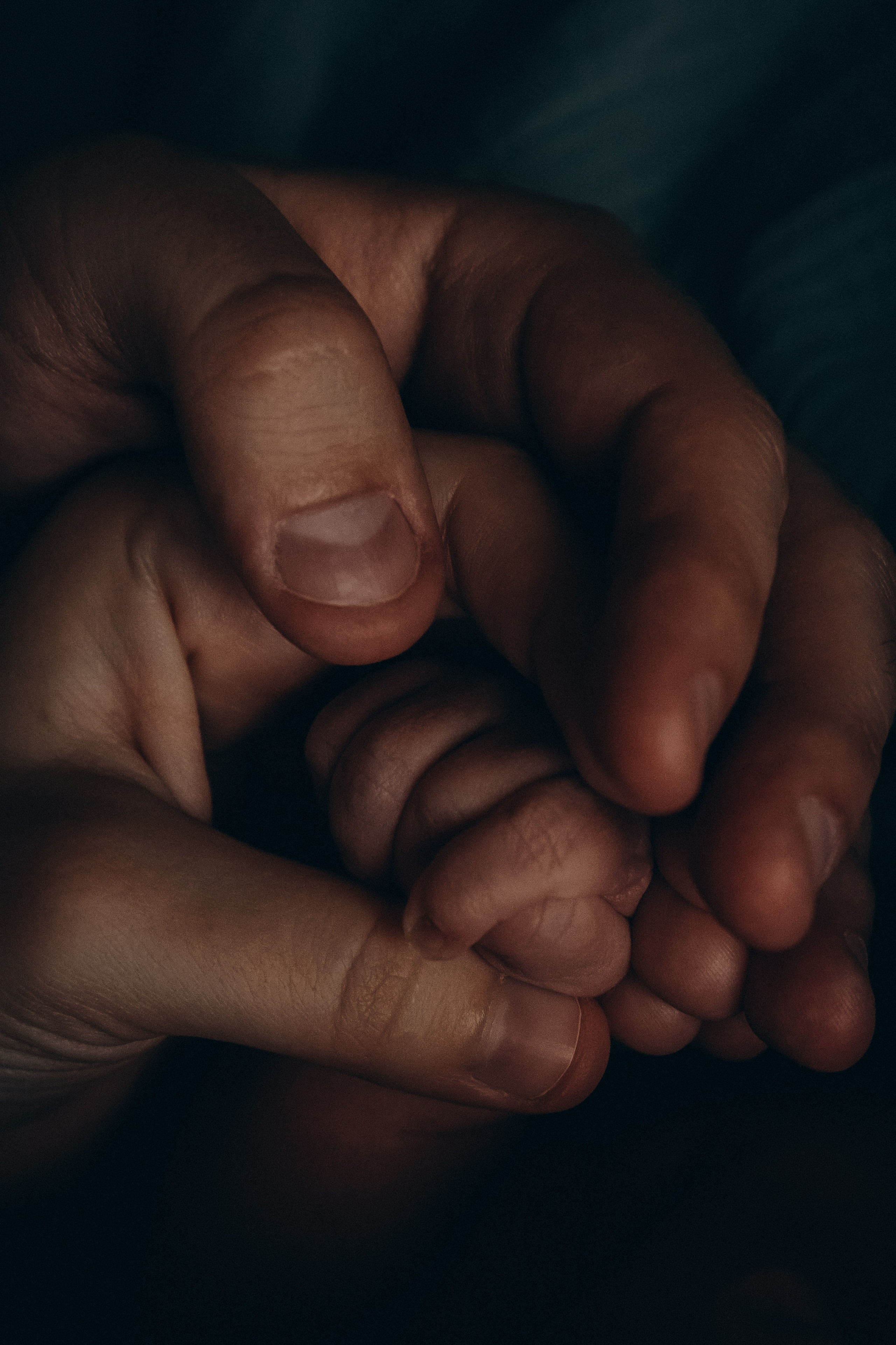 Новый человек в доме. Фотограф  Челябинск Варвара Шарапова