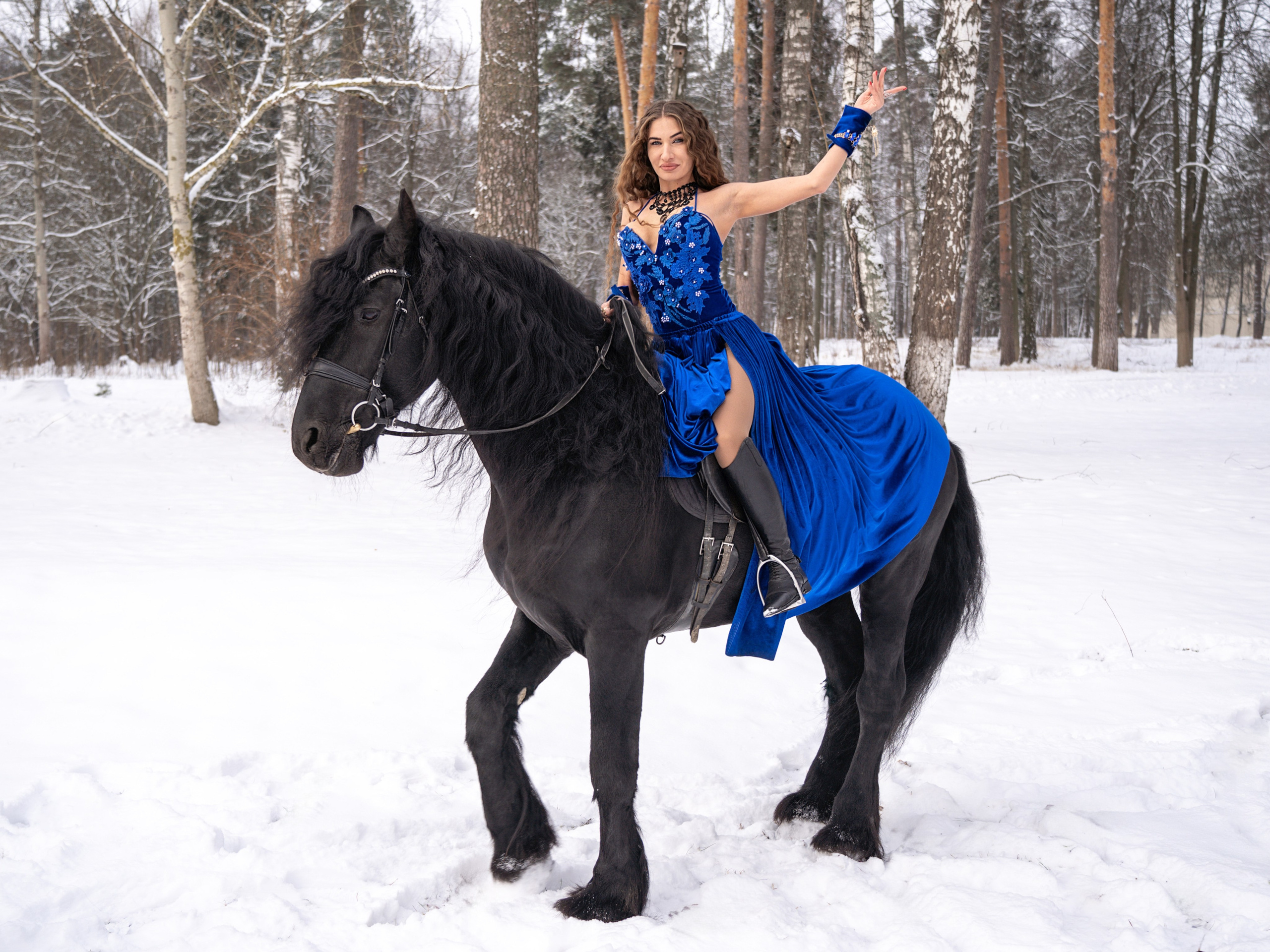 Лошадки зима. Фотограф Зинаида Евдокимова