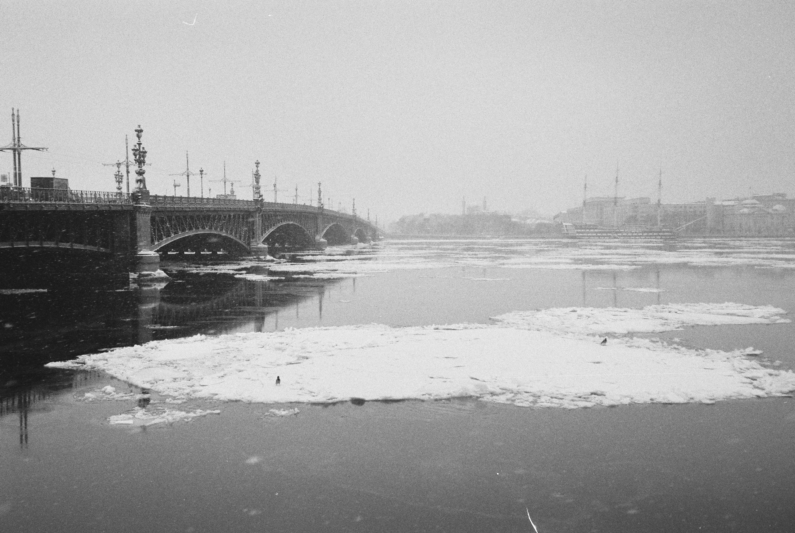 Фотографии черно-белые. Свадебный и семейный пленочный фотограф в Петербурге Истомина Ирина