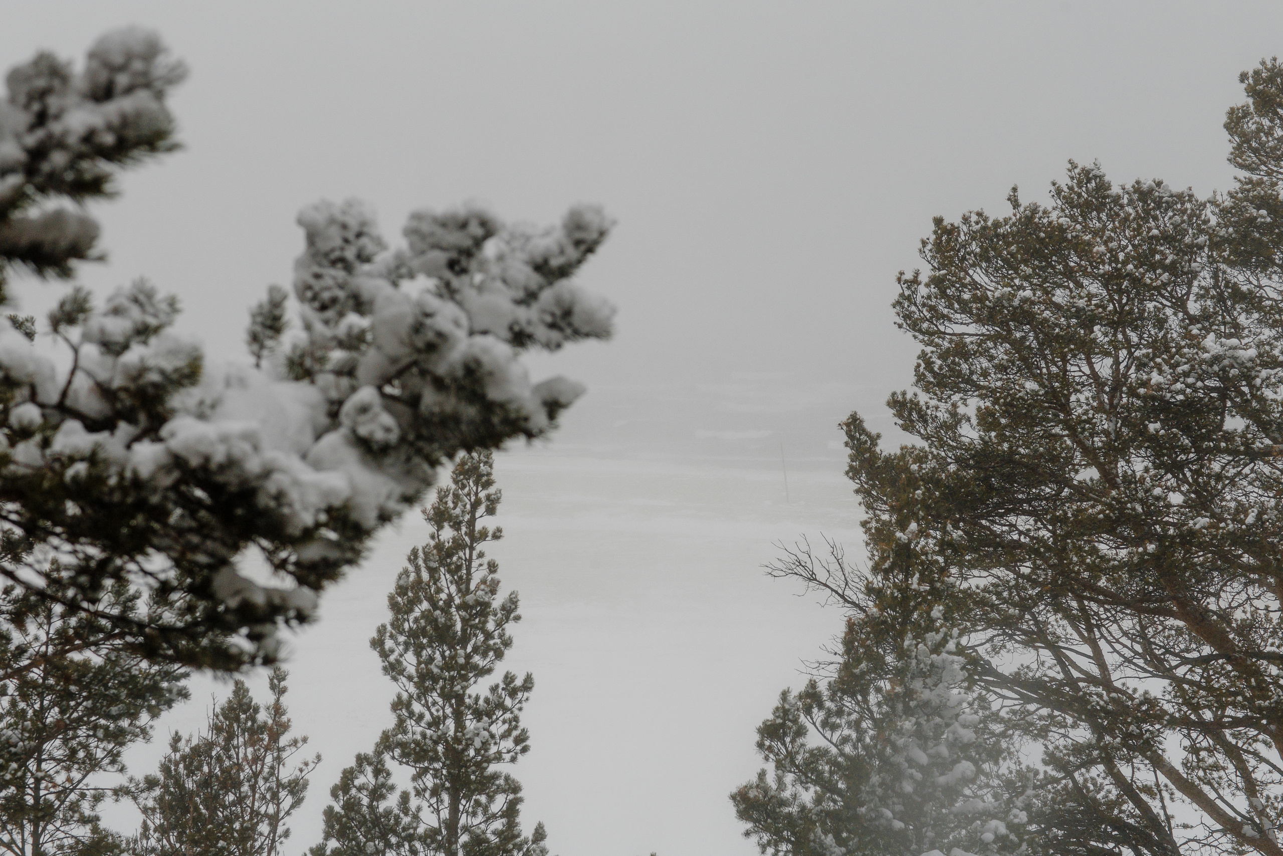 Байкальская Исландия. Фотограф и видеограф в Улан-Удэ: Аюна Габагуева и Артём Шаханов