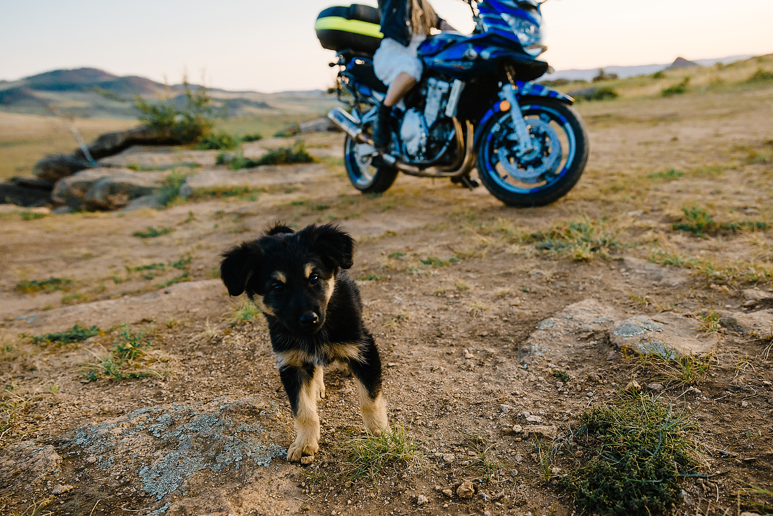 Настя и Олег. Фотограф и видеограф в Улан-Удэ: Аюна Габагуева и Артём Шаханов