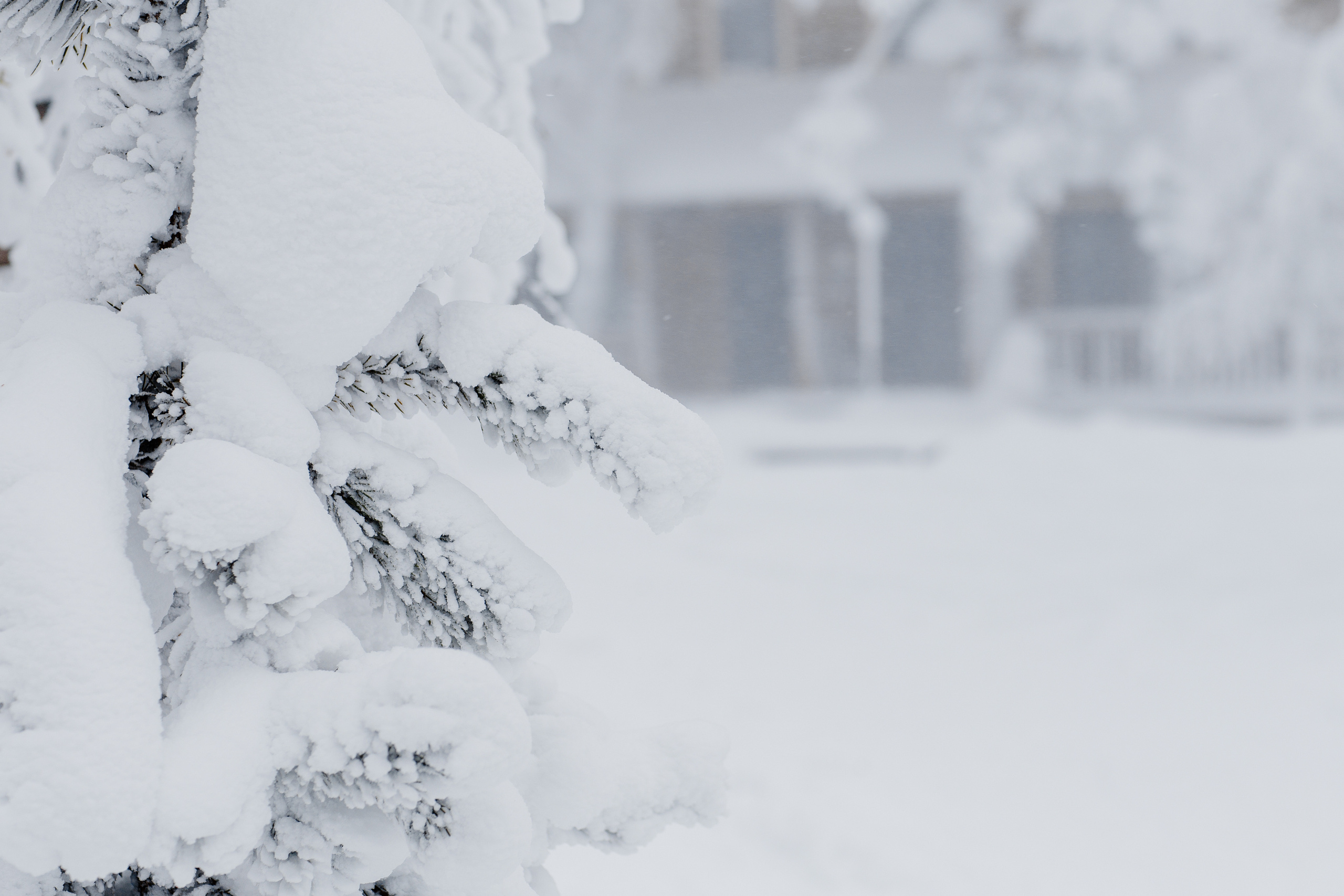 Байкальская Исландия. Фотограф и видеограф в Улан-Удэ: Аюна Габагуева и Артём Шаханов