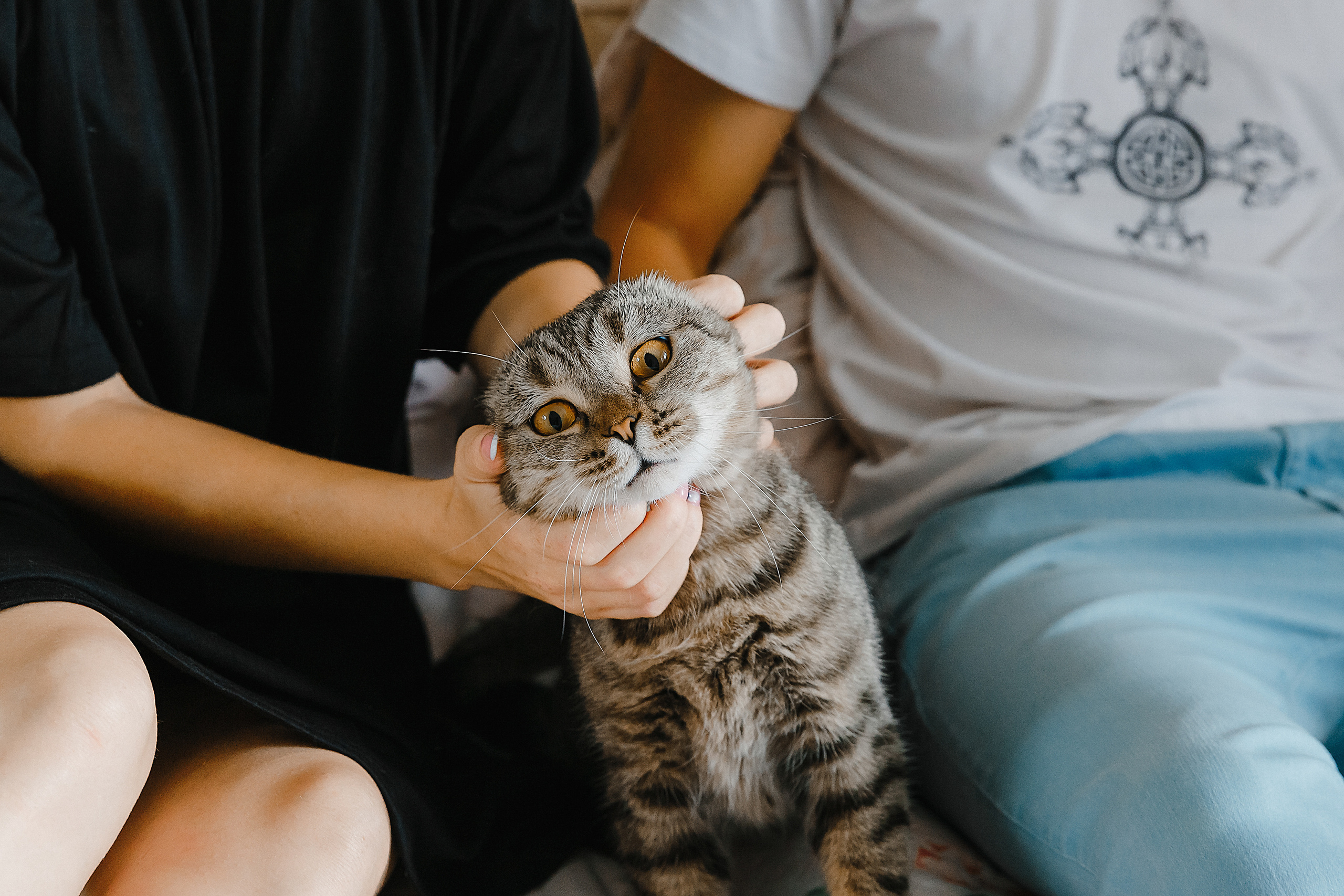 Алина и Михаил. Фотограф и видеограф в Улан-Удэ: Аюна Габагуева и Артём Шаханов