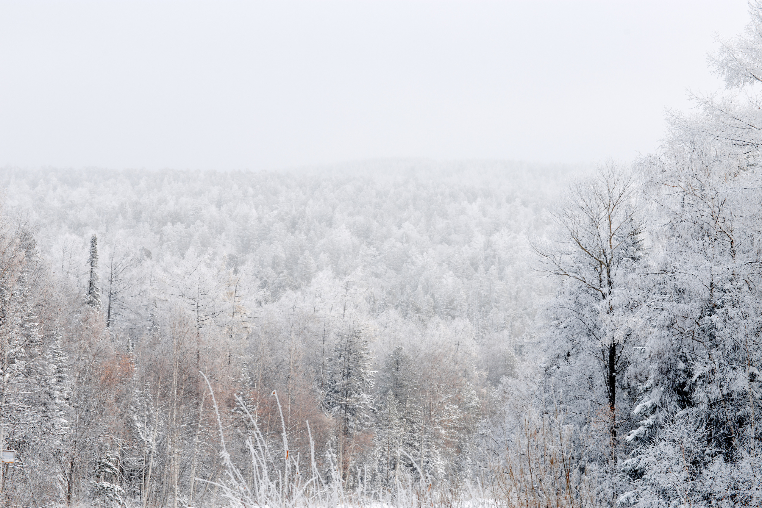 Байкальская Исландия. Фотограф и видеограф в Улан-Удэ: Аюна Габагуева и Артём Шаханов
