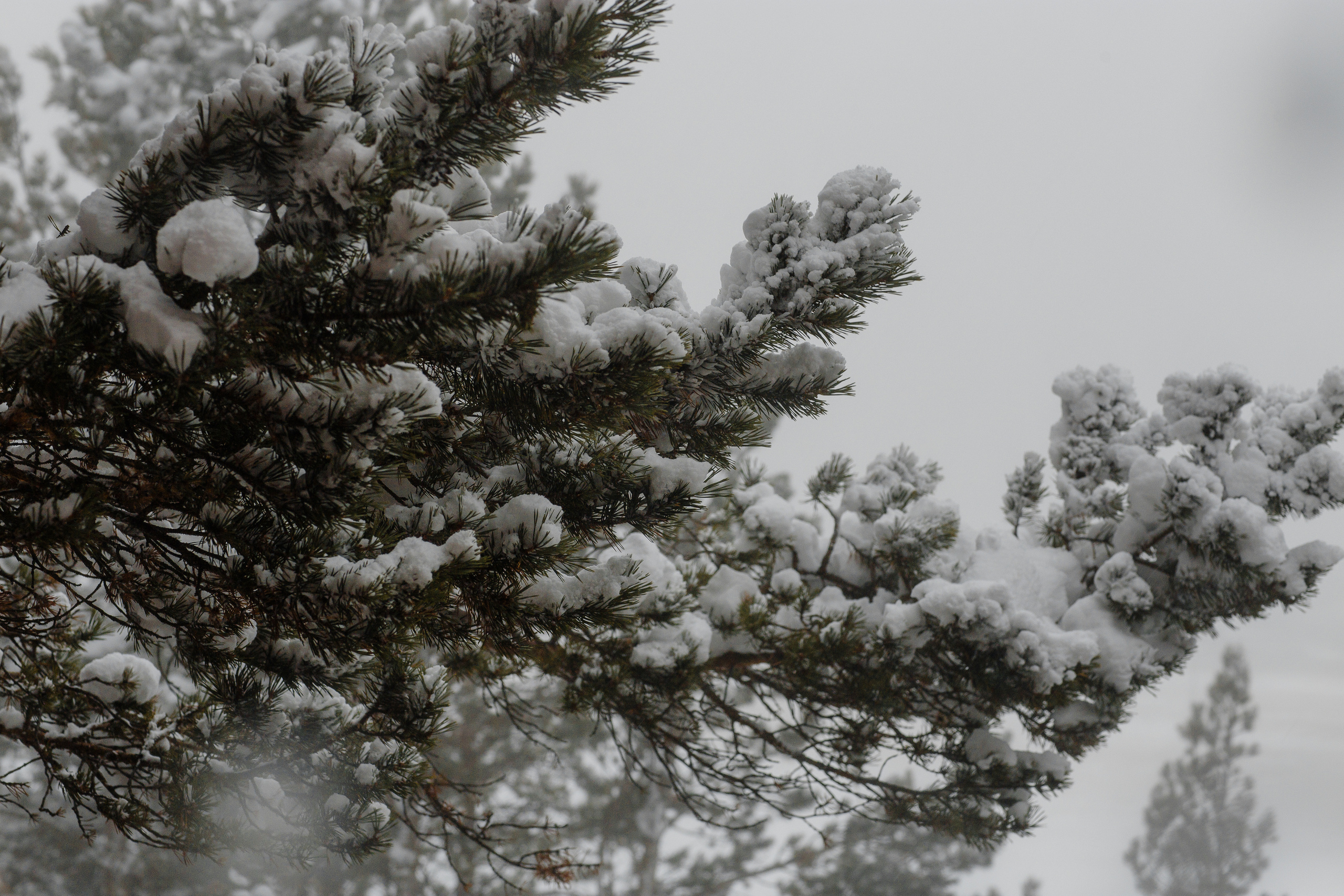 Байкальская Исландия. Фотограф и видеограф в Улан-Удэ: Аюна Габагуева и Артём Шаханов