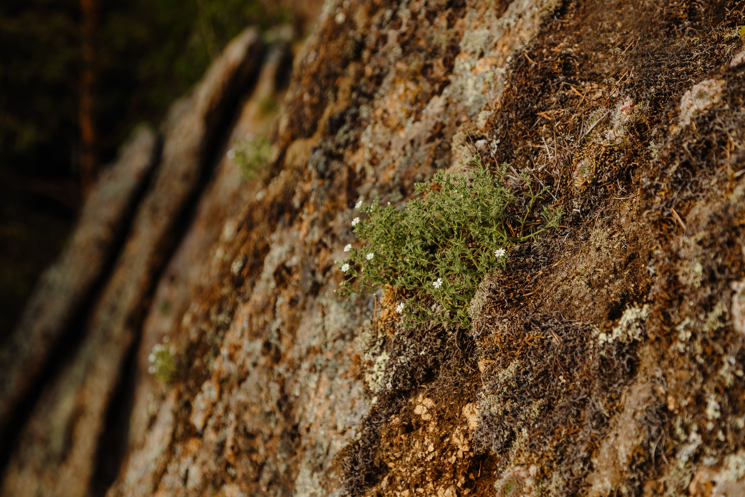 Рыцарская история. Фотограф и видеограф в Улан-Удэ: Аюна Габагуева и Артём Шаханов