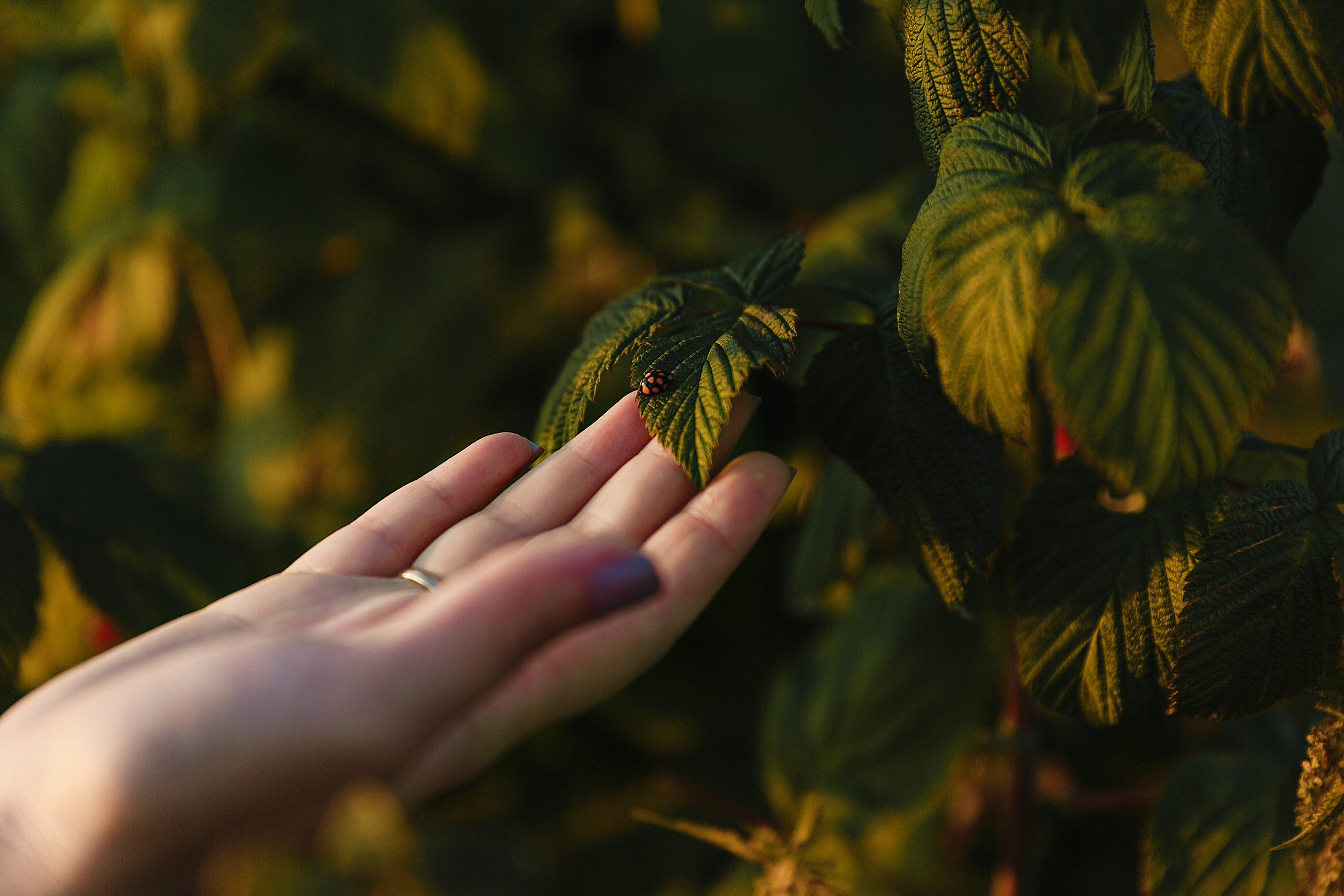 Тёплые озёра: Сергей и Александра. Фотограф и видеограф в Улан-Удэ: Аюна Габагуева и Артём Шаханов