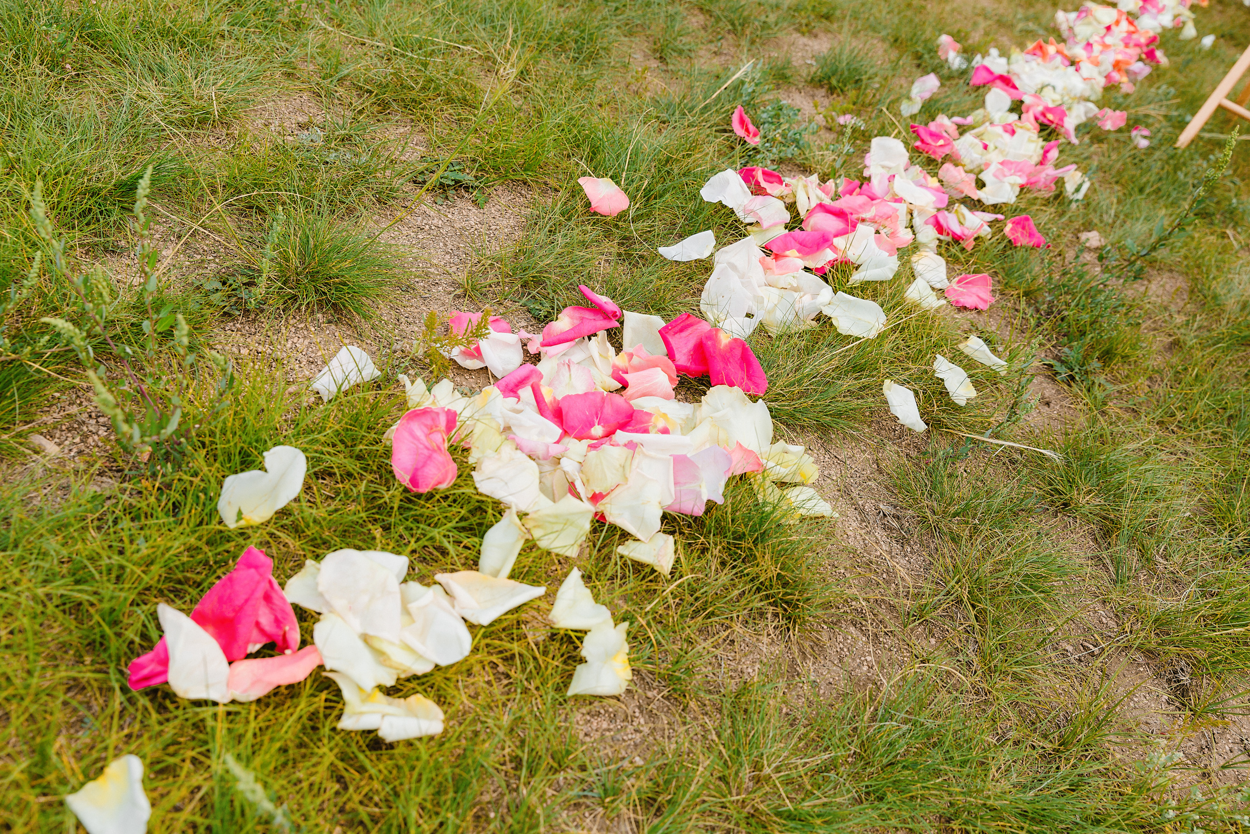 Тагар и Яна. Улан-Удэ. Фотограф и видеограф в Улан-Удэ: Аюна Габагуева и Артём Шаханов