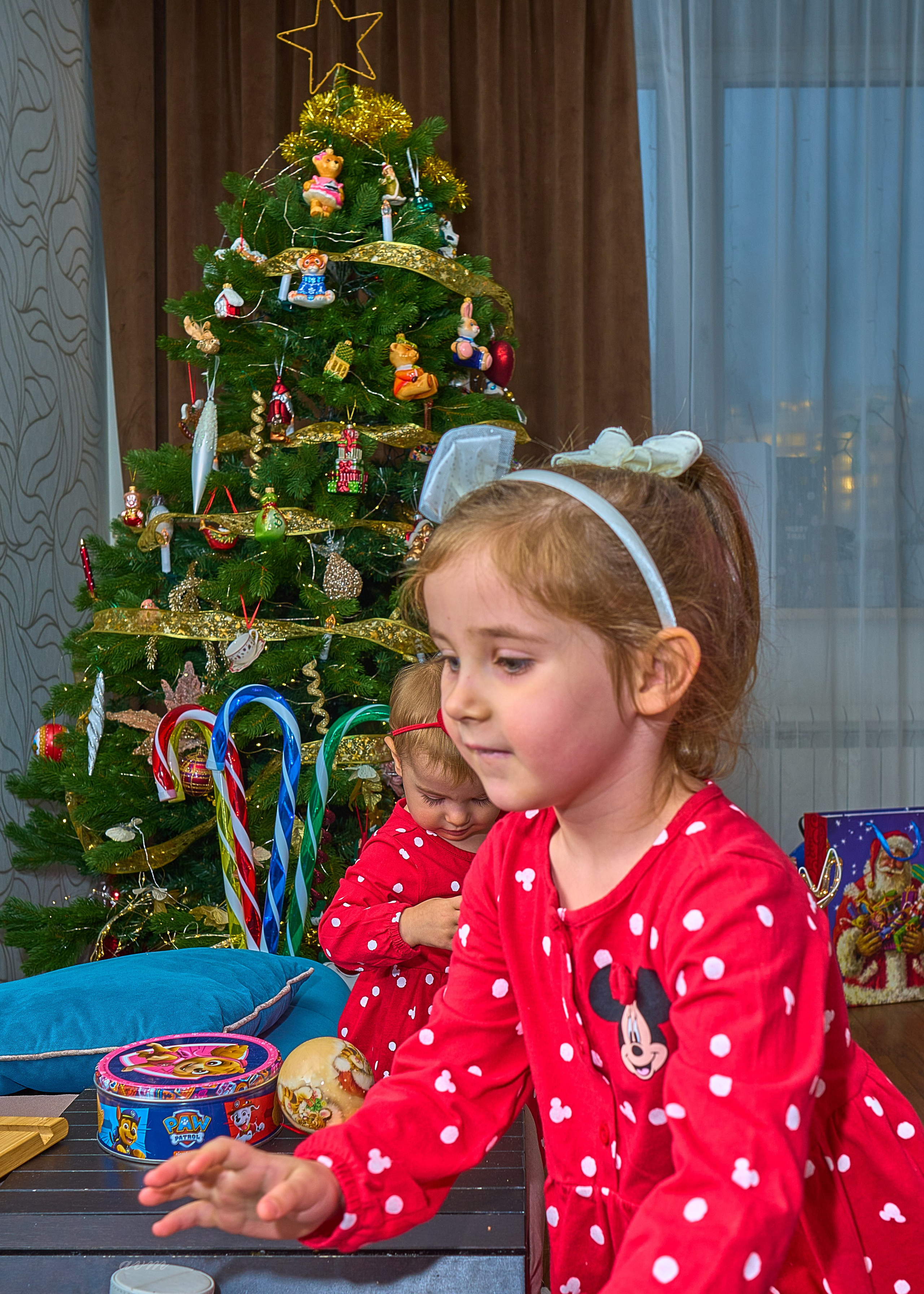 Машенька и Поленька 2024. Фотограф Михеев Андрей