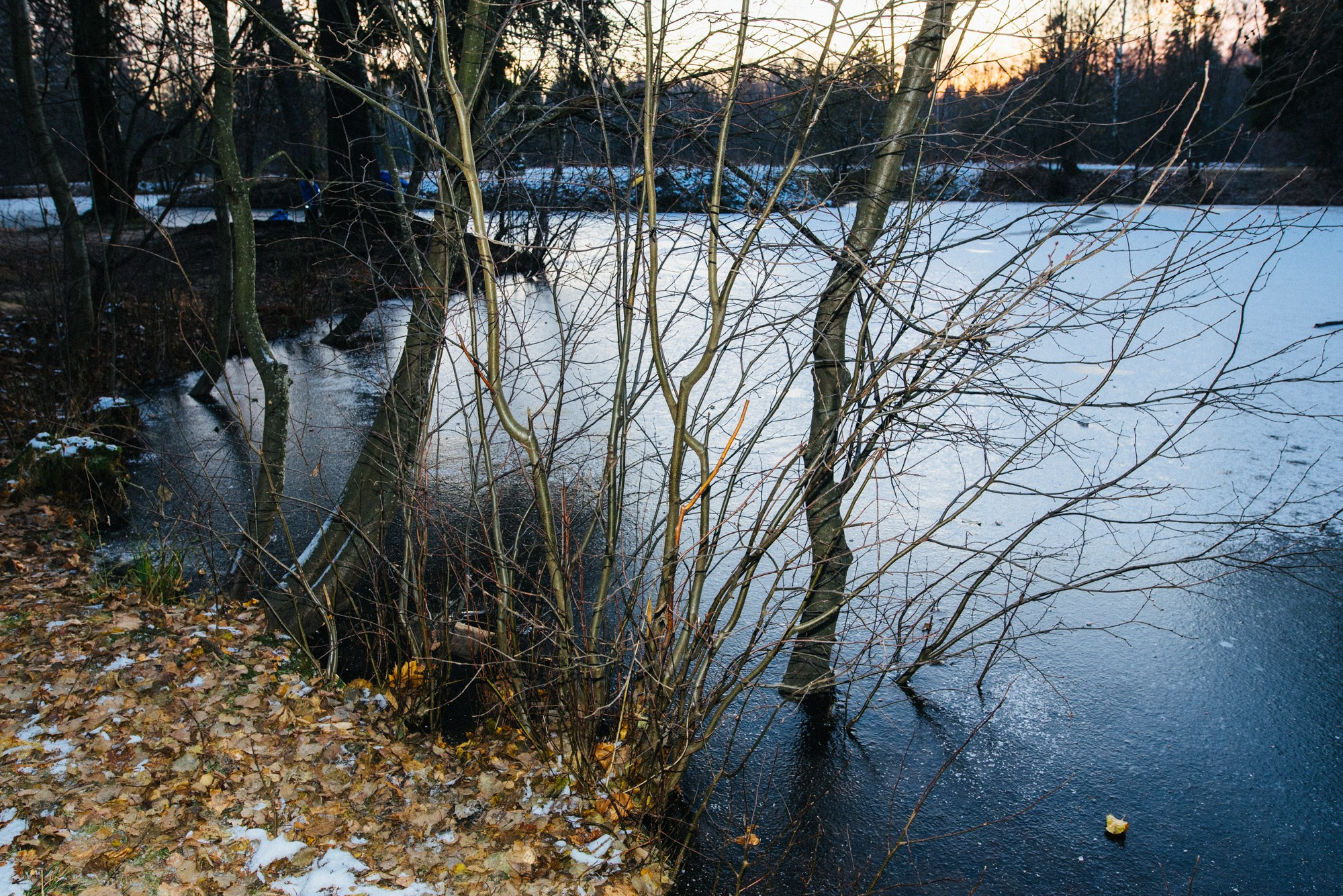 На стыке осени и зимы. Семейный и детский фотограф в Санкт-Петербурге Марина Сергеева