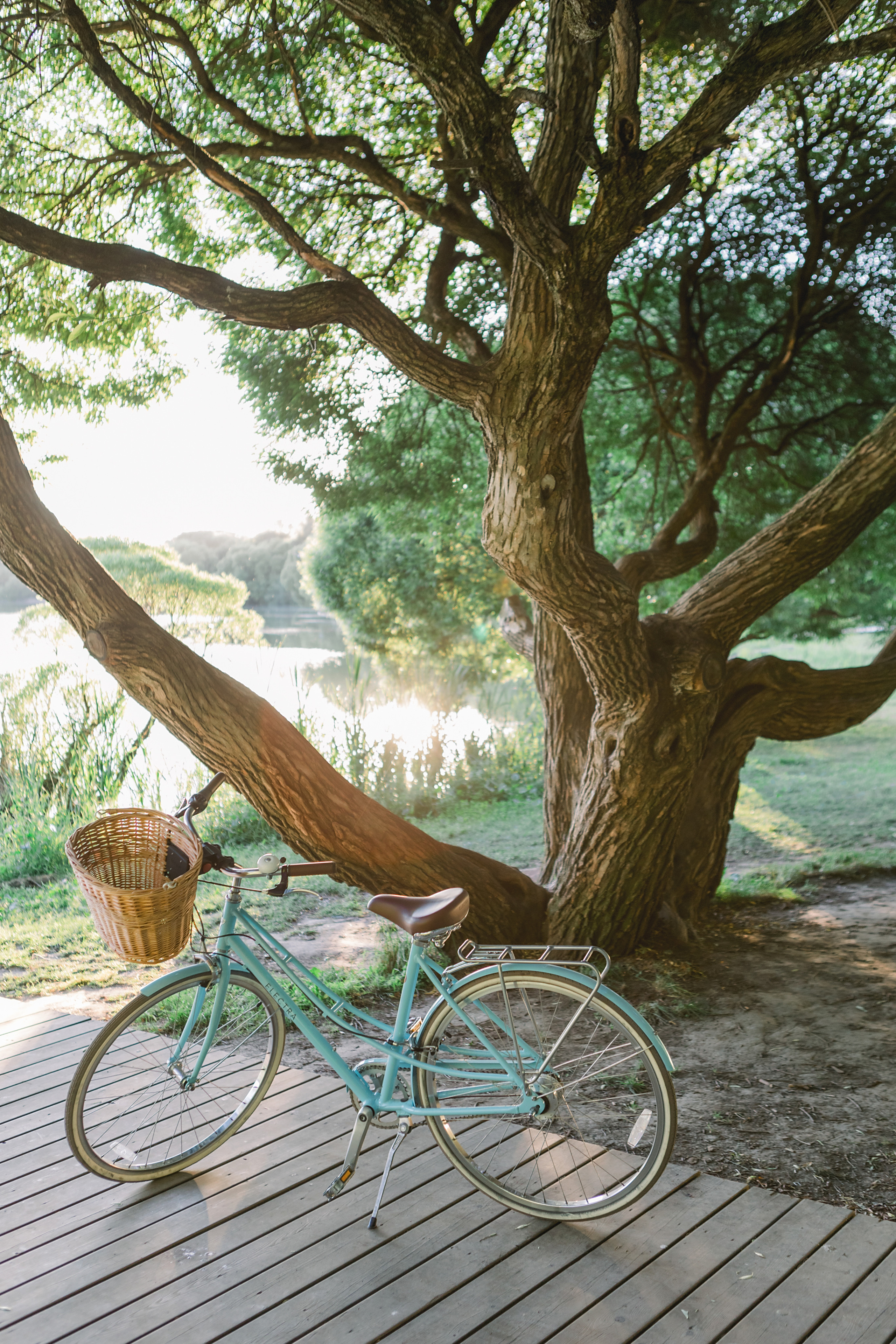 Лиза. Лена Крутова. Фотограф в Москве