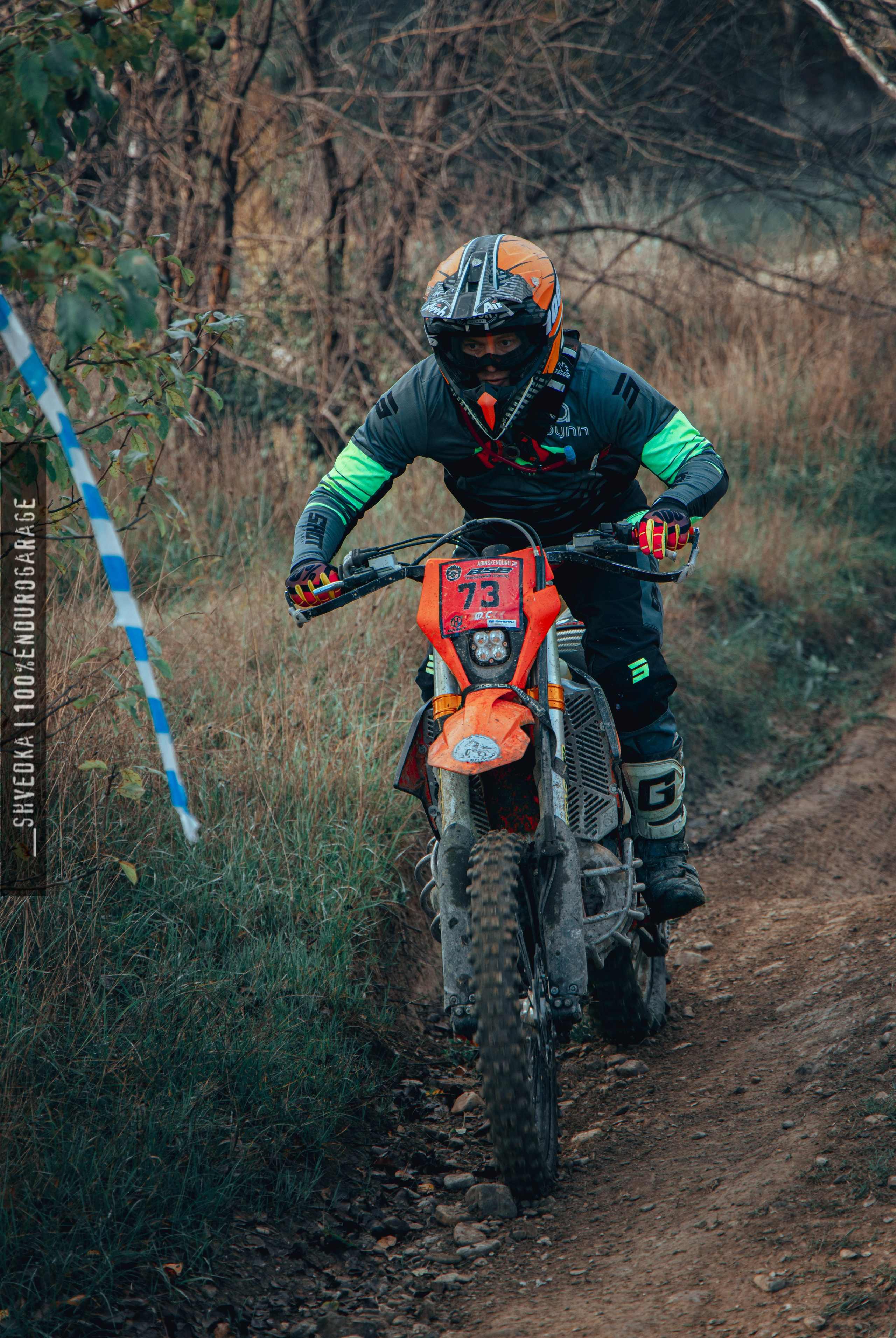 2 ЛЕСНОЙ ДЕНЬ. Ваш экстрим фотограф Кудрева Яна