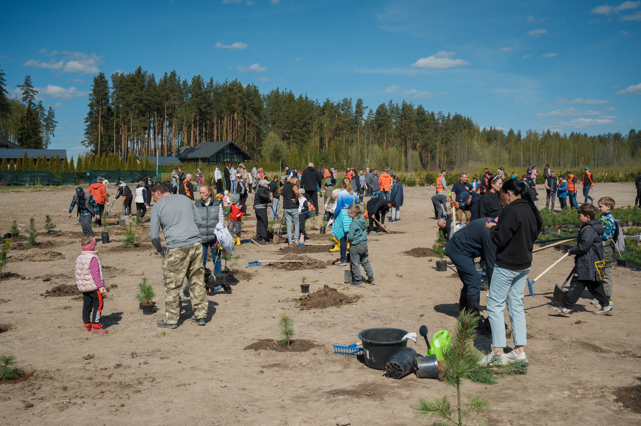 Кедровый парк Biotropika. Ваш свадебный и репортажный фотограф в Санкт-Петербурге Вячеслав Ивахненко