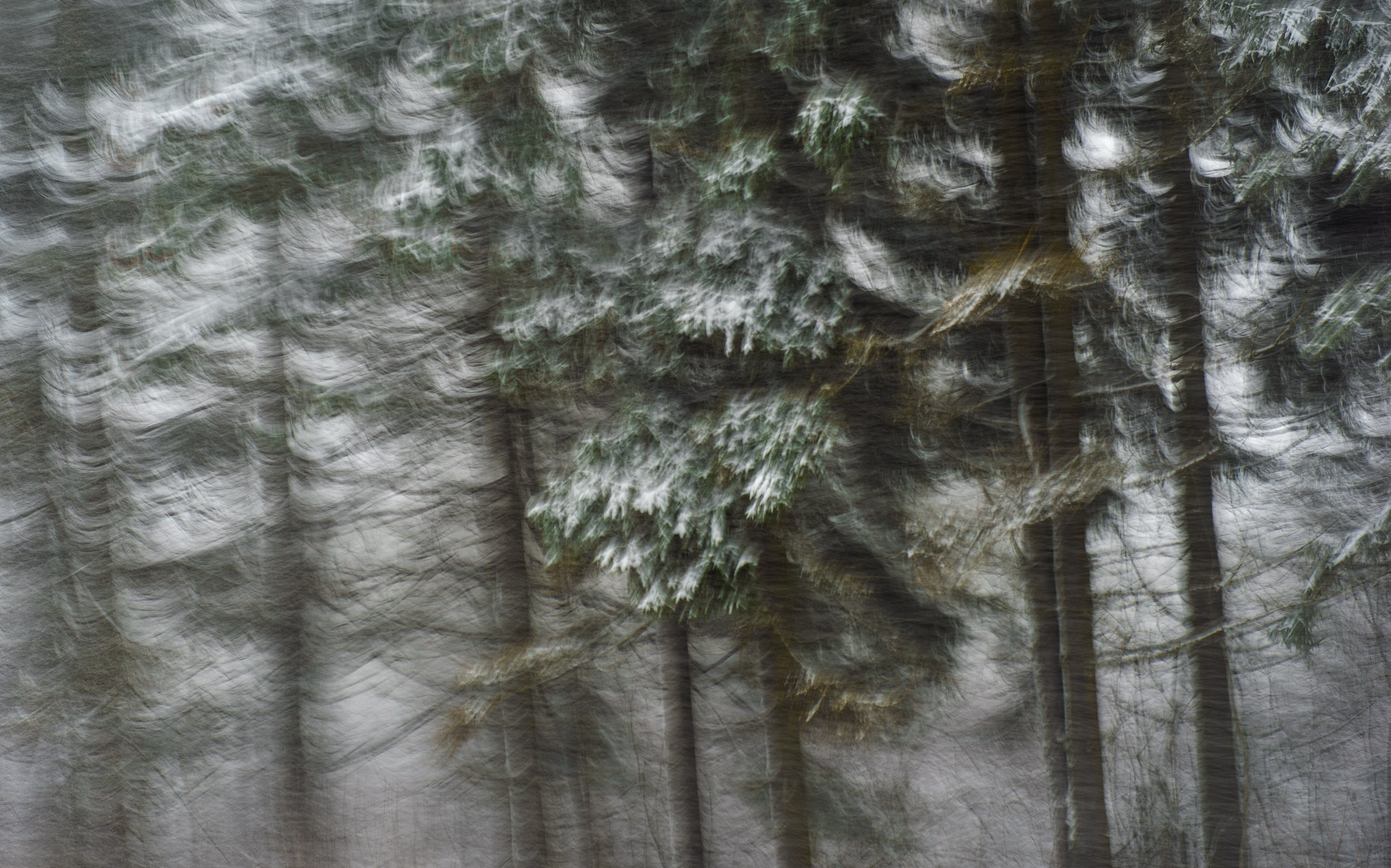 Лана Петрова, фотограф